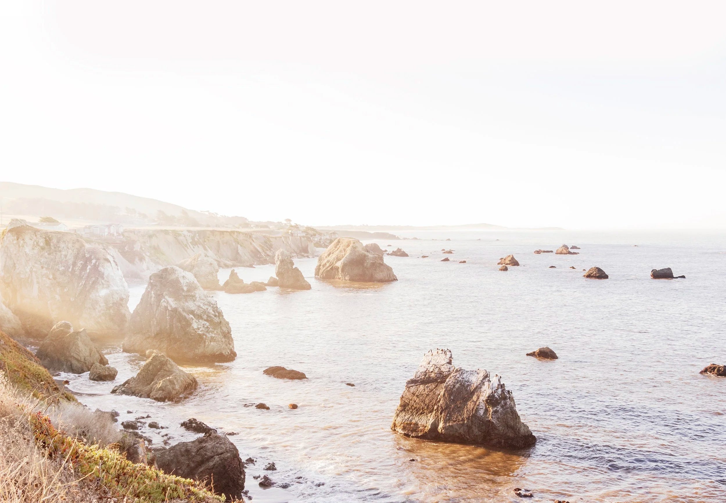 Sonoma State Park Beach