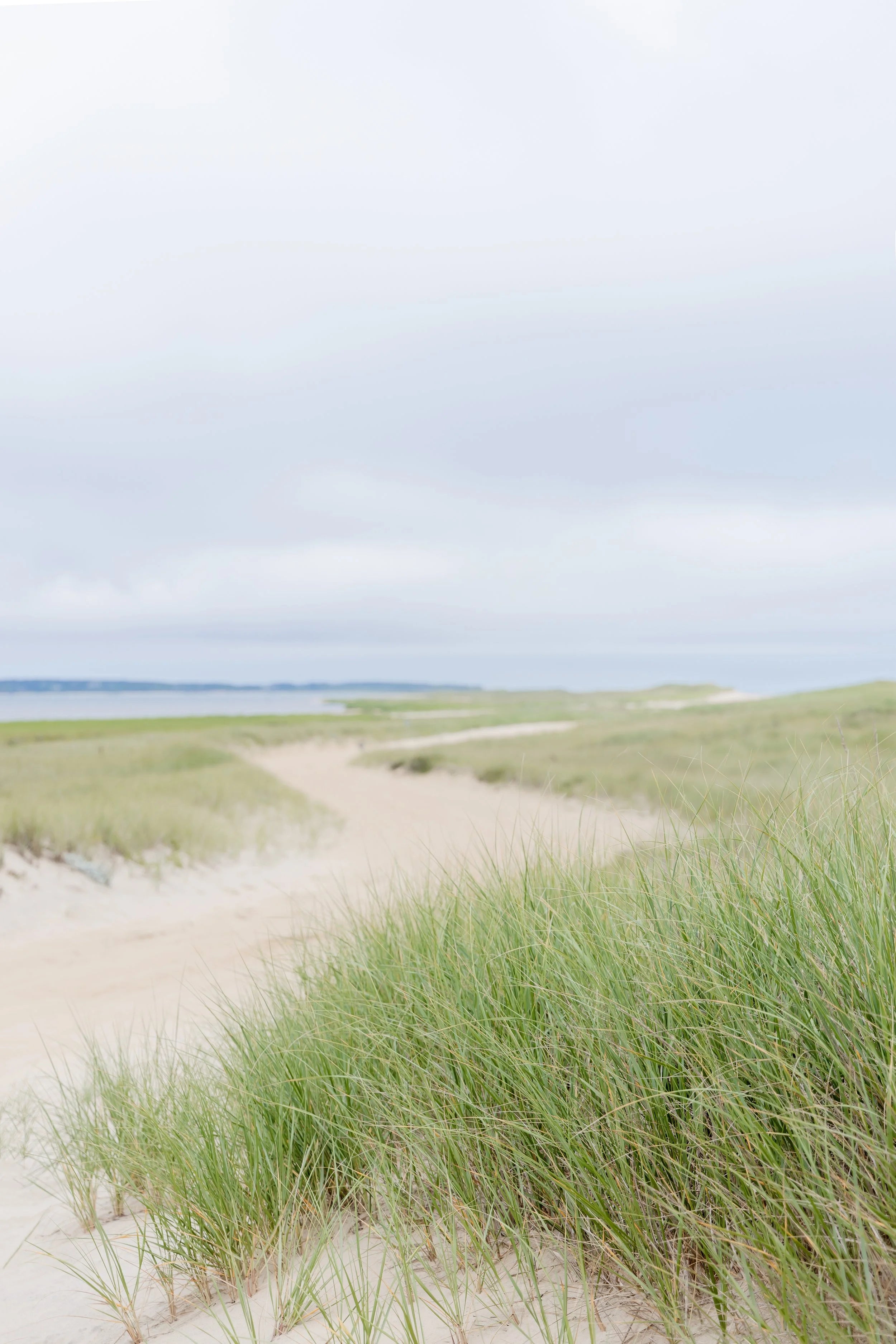 South Beach Dunes