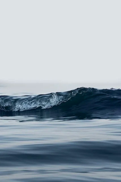 Splash