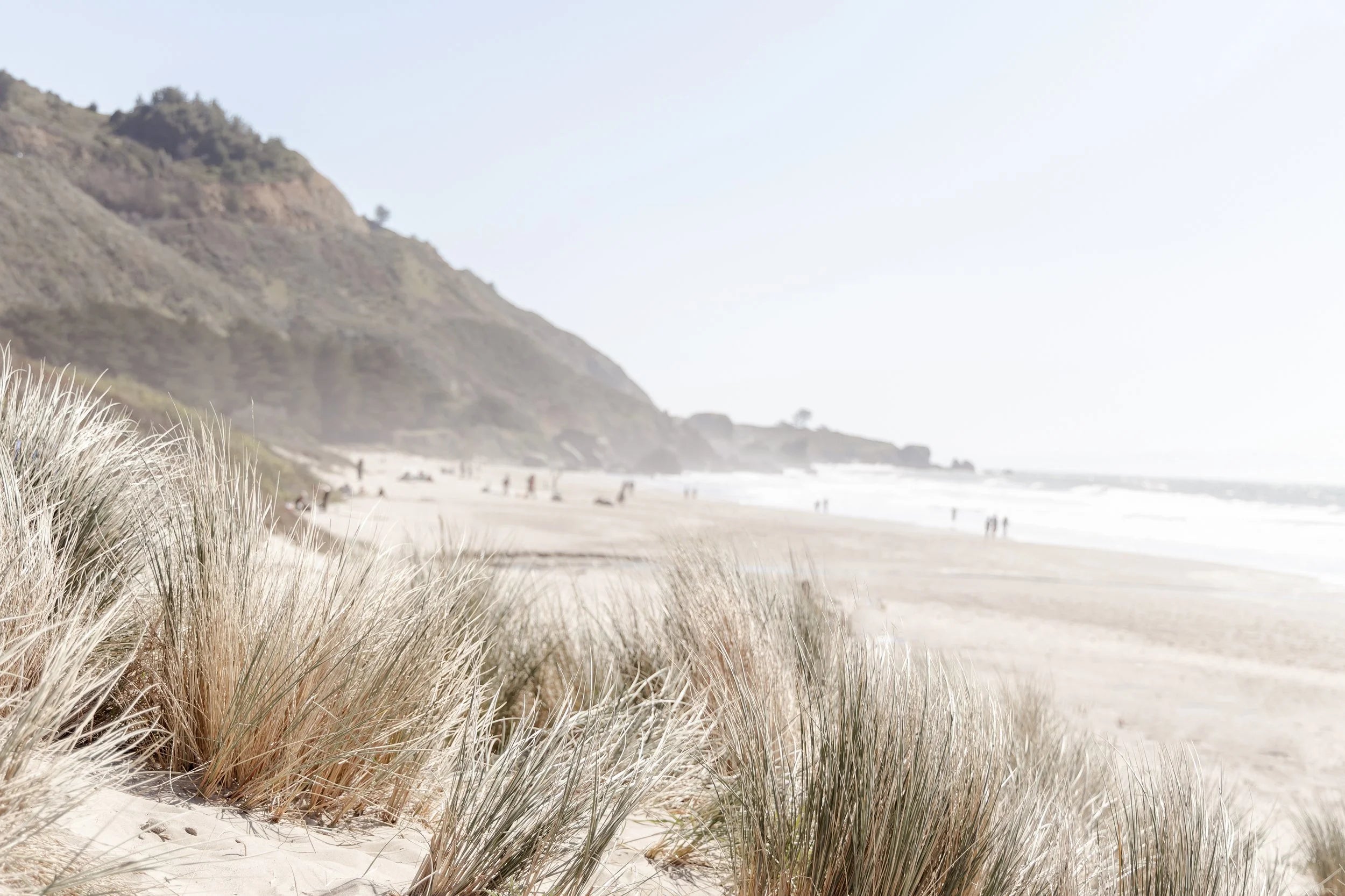 Stinson Beach Dunes