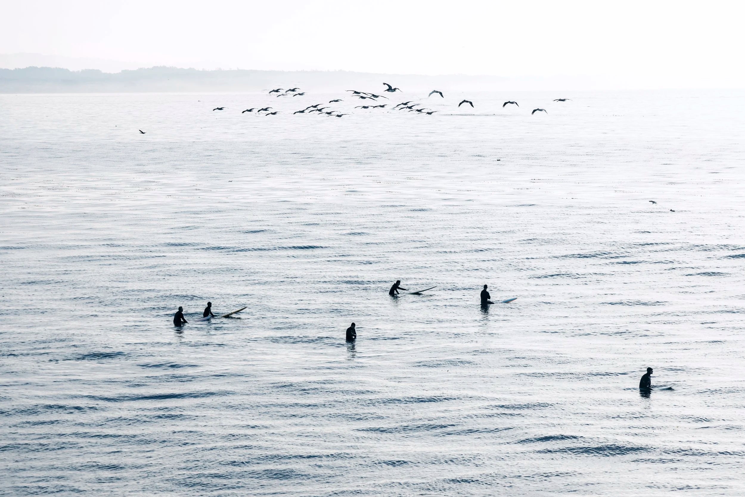 Surfers Flock