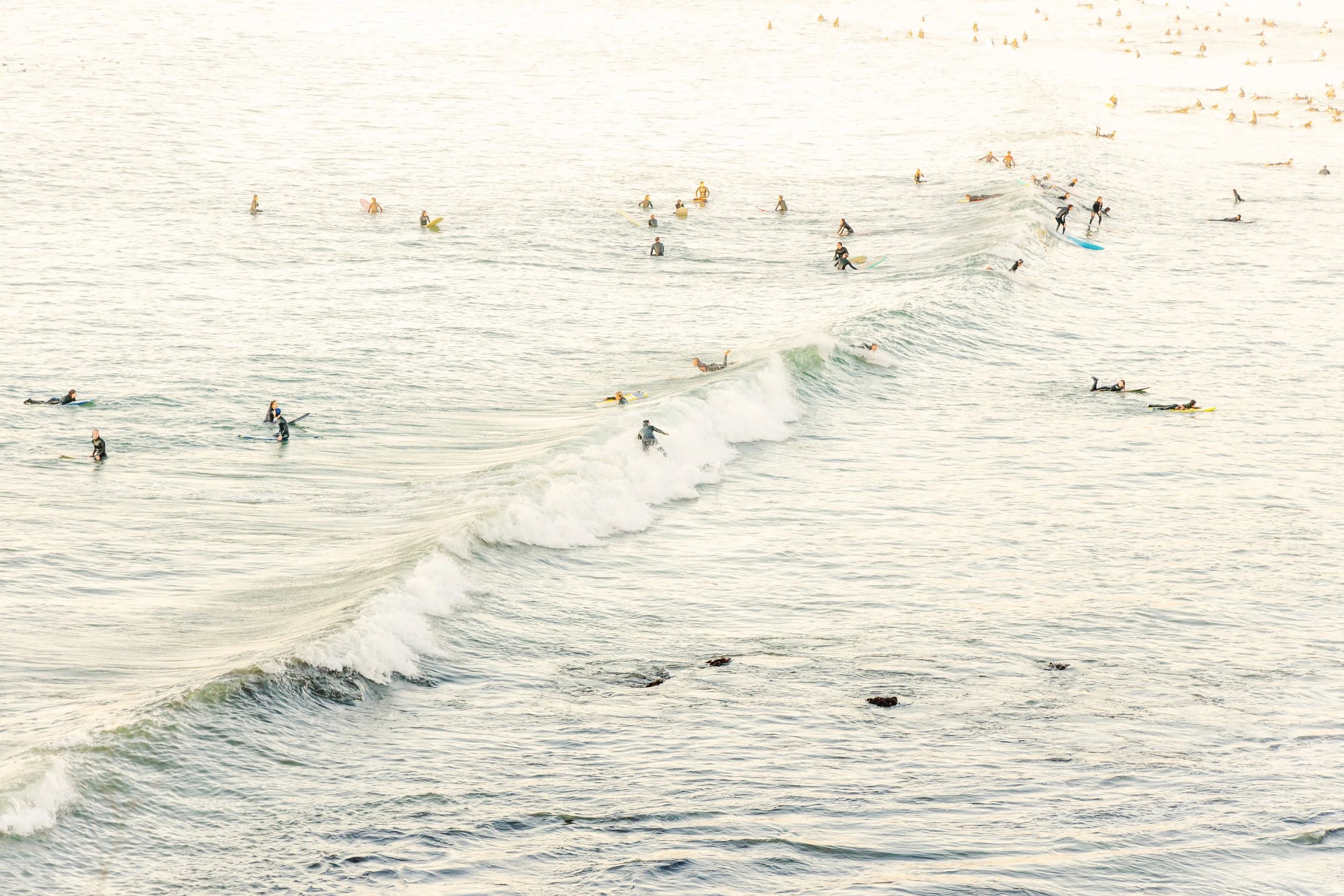 Surf Partay