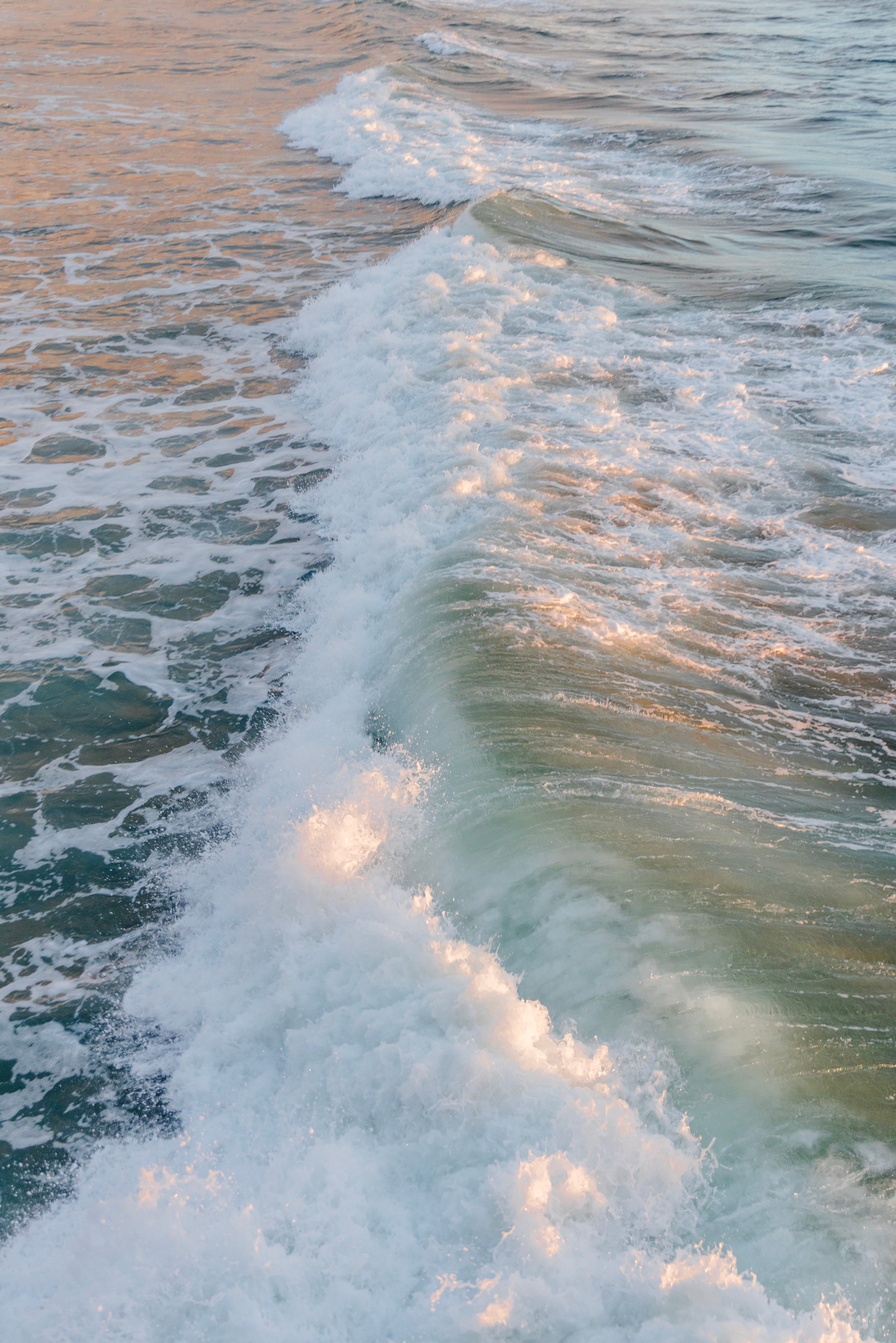 Tide Rising