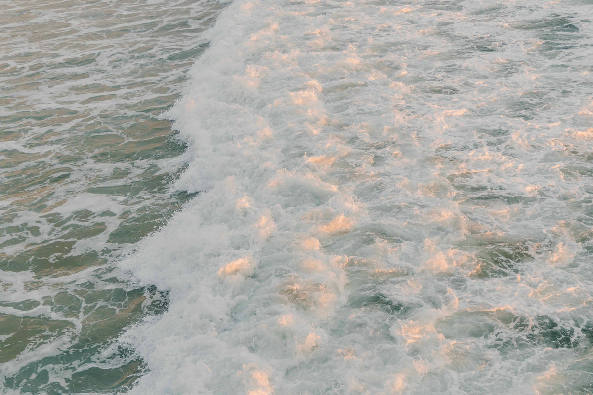Tide in Blush