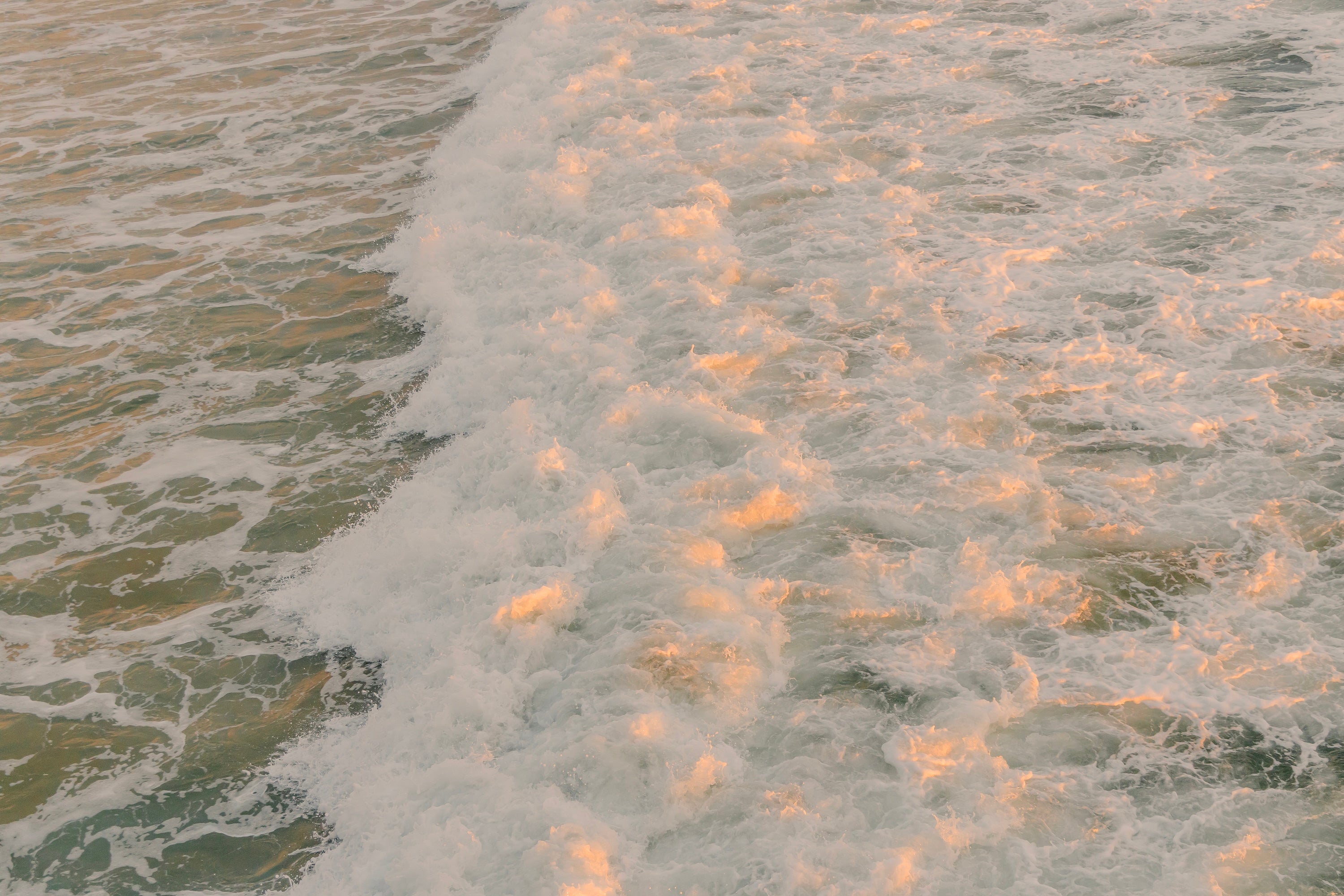 Tide in Blush