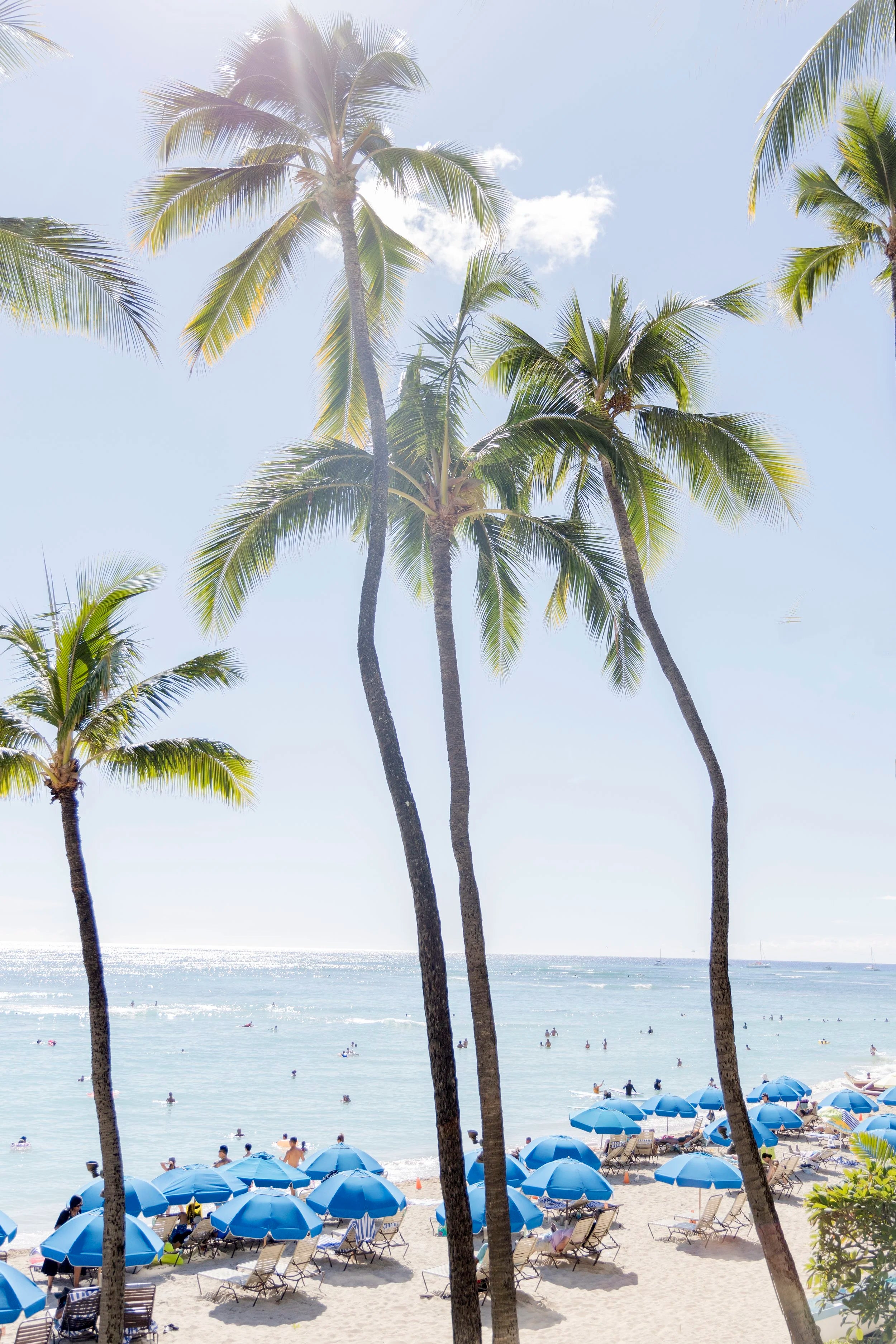 Waikiki Loungers