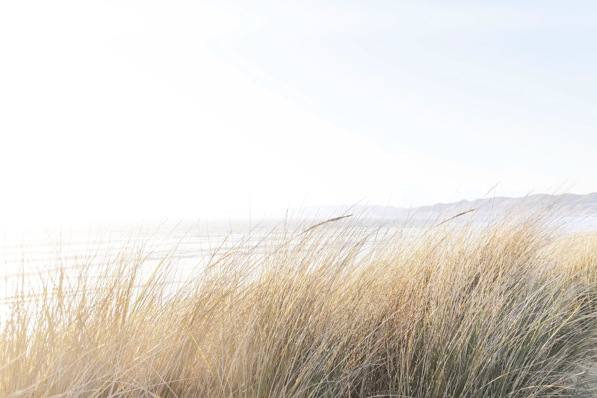 Where The Dunes Breathe