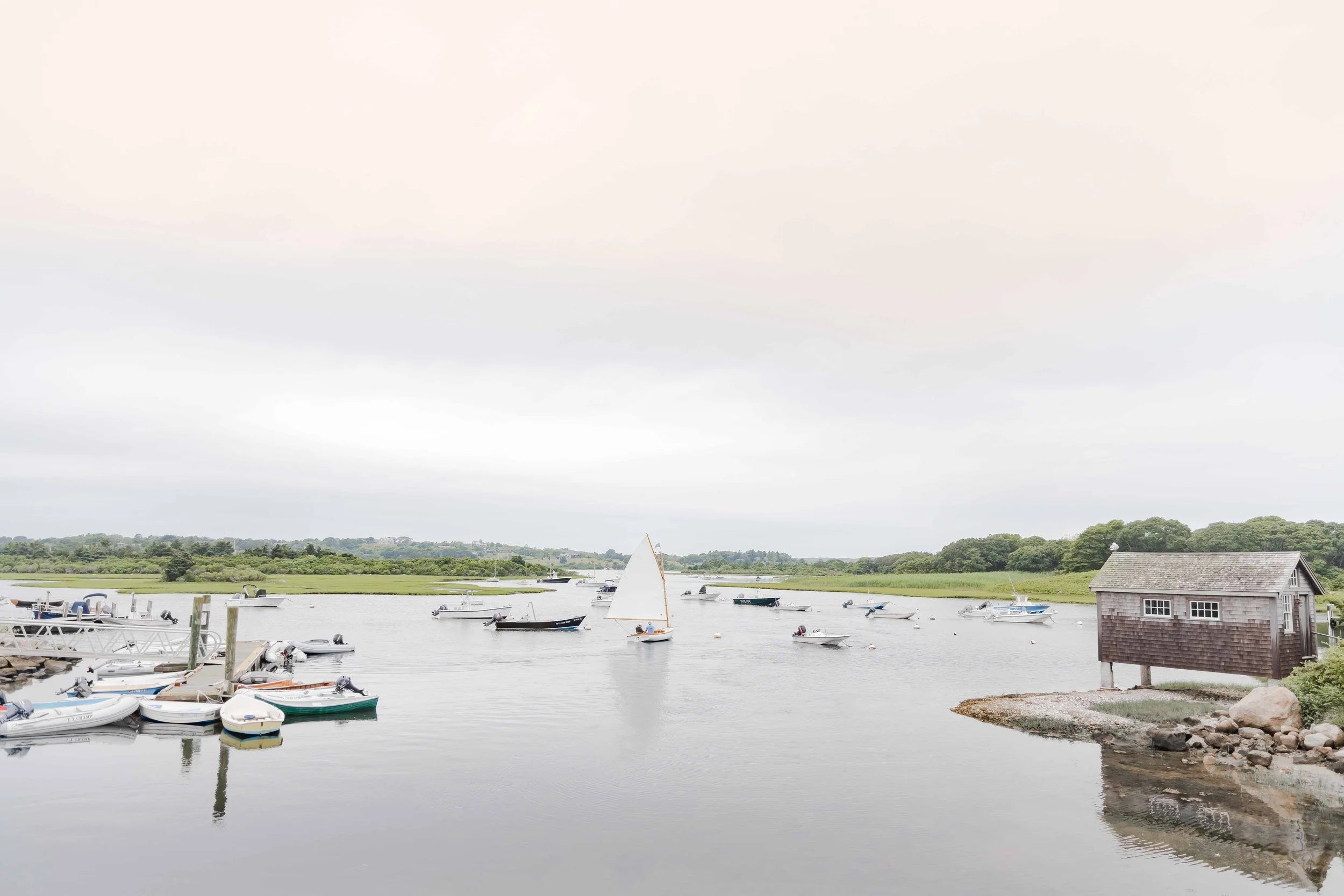 Sail Day in West Tisbury