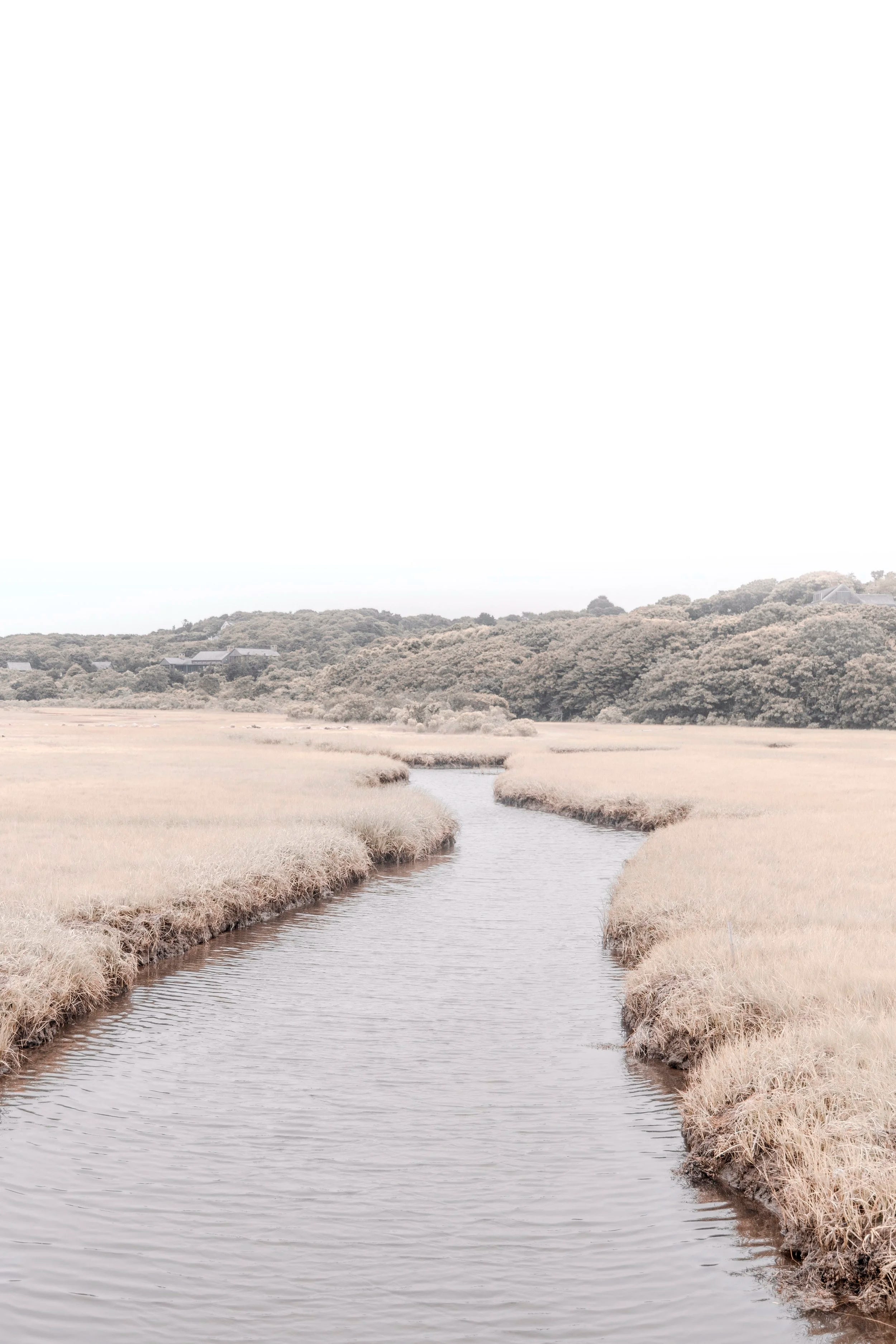 Winter Pond in Martha's Vineyard