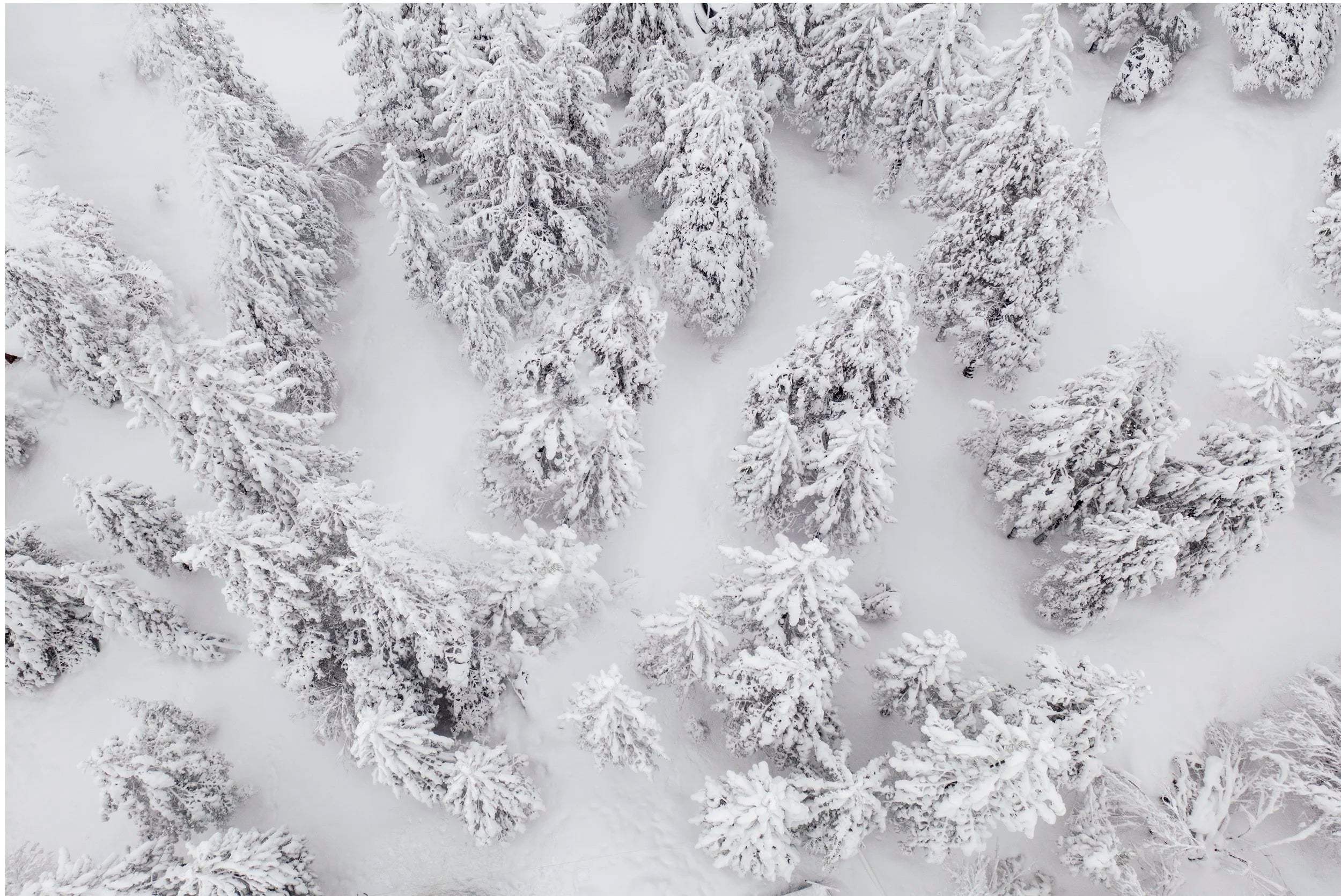 Winter Snowfall