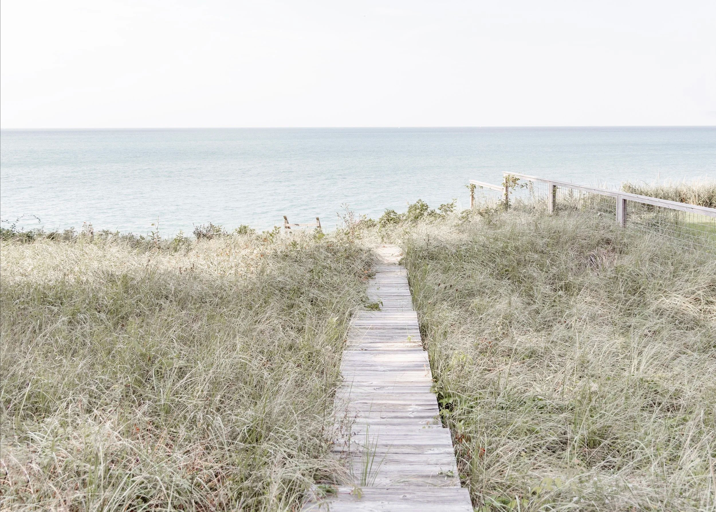 Wooden Path - Horizontal