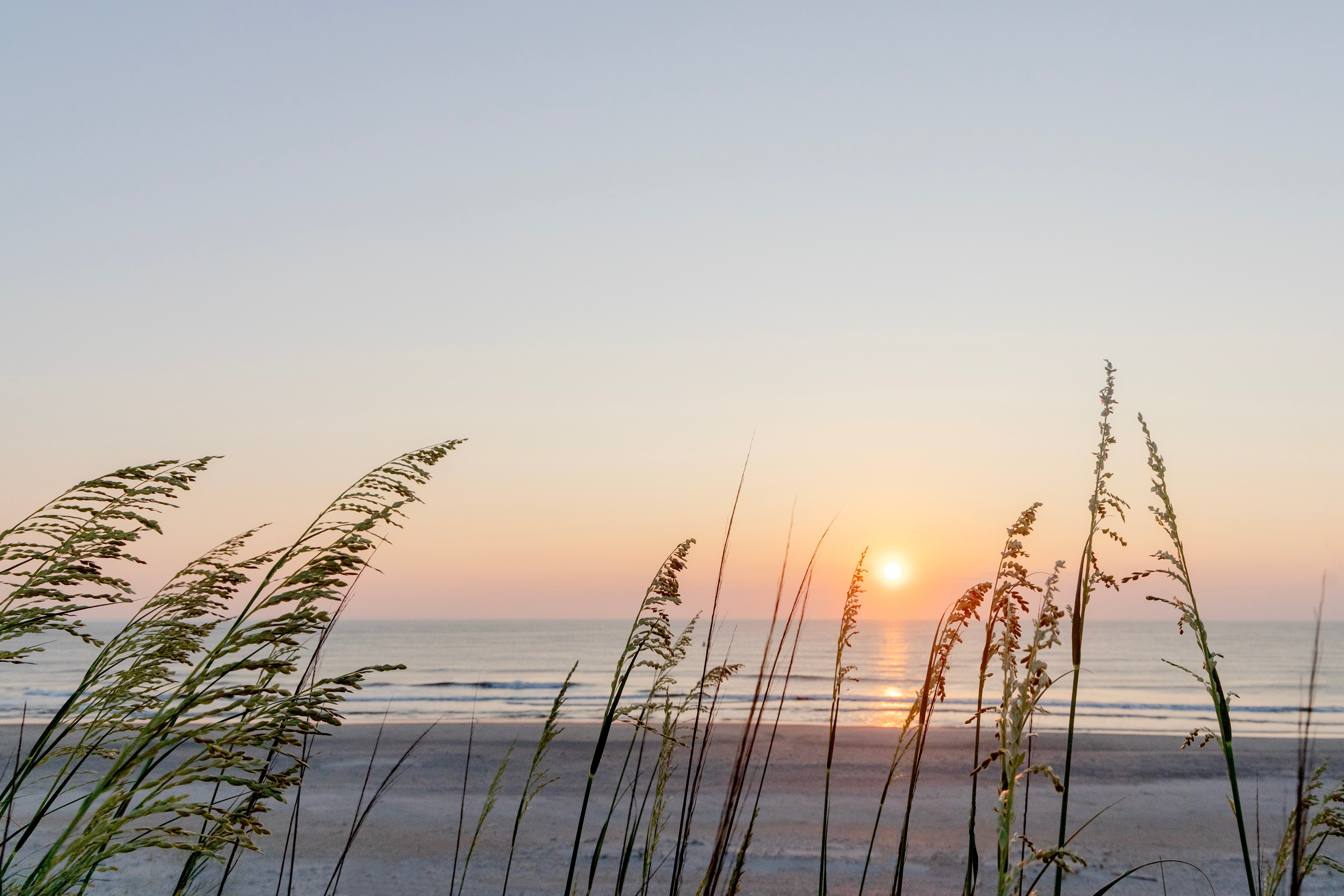 A New Day