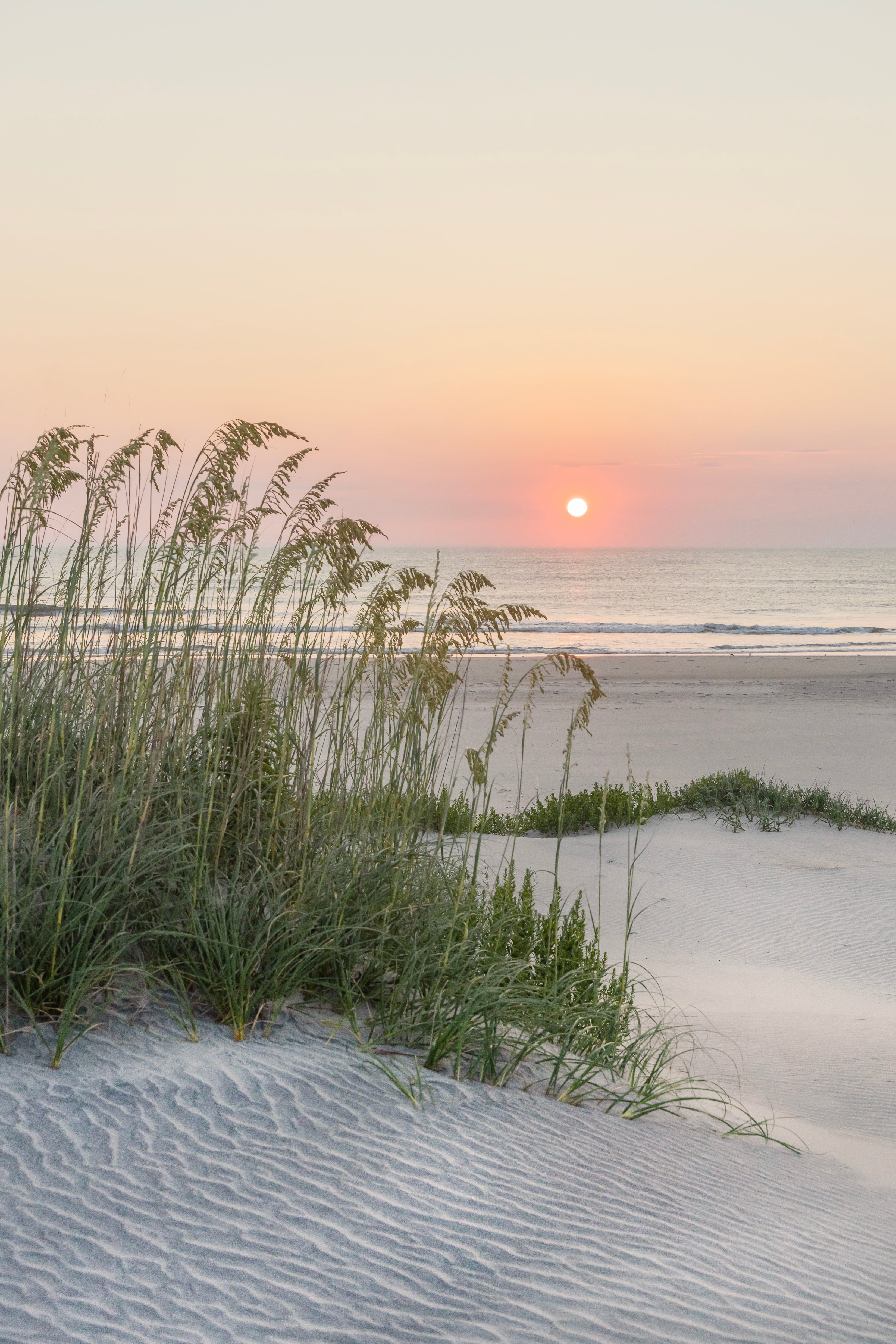 Among The Sea Oats