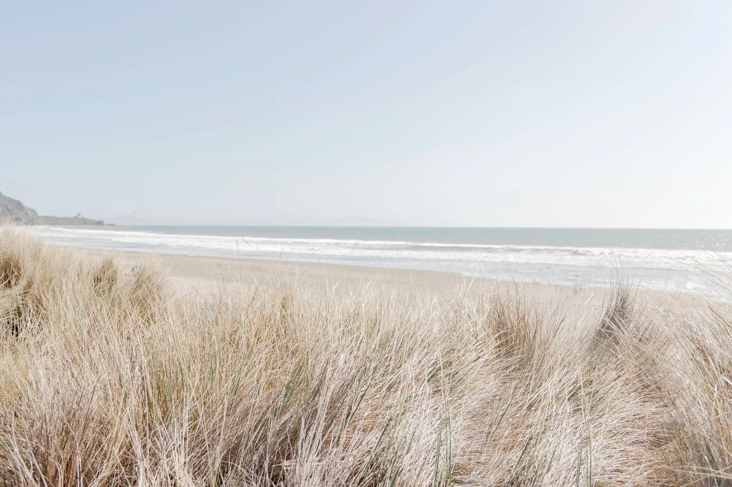 Beach Dunes