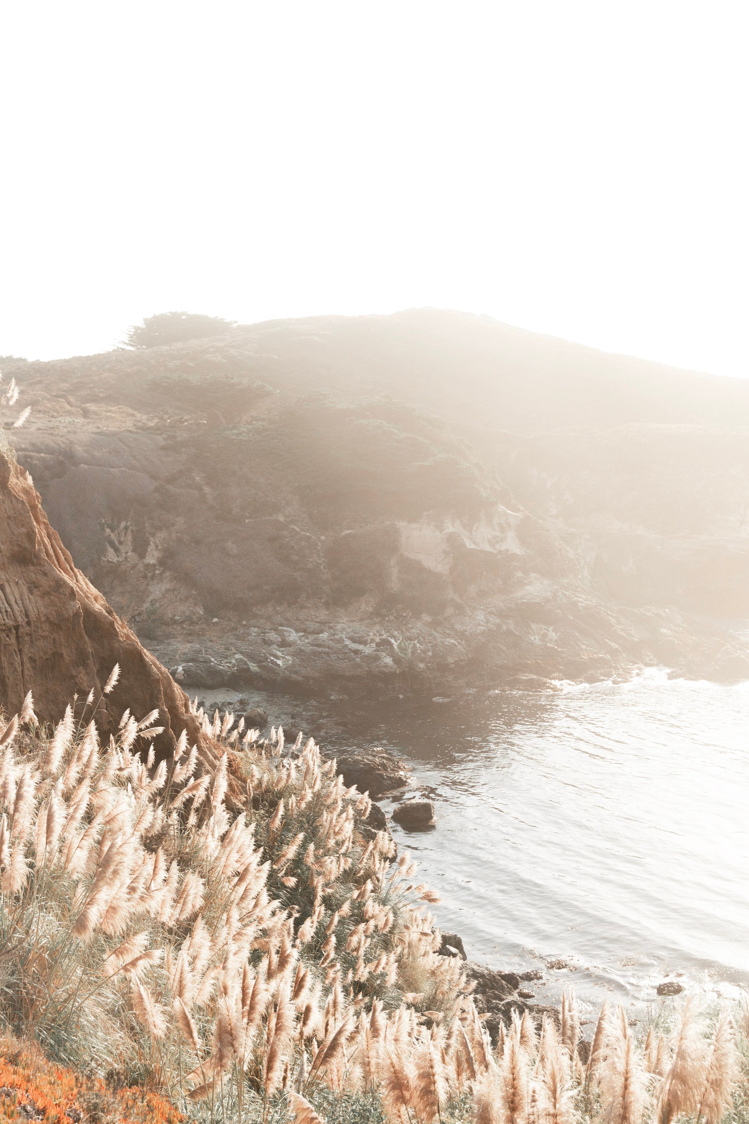 Big Sur Hillside