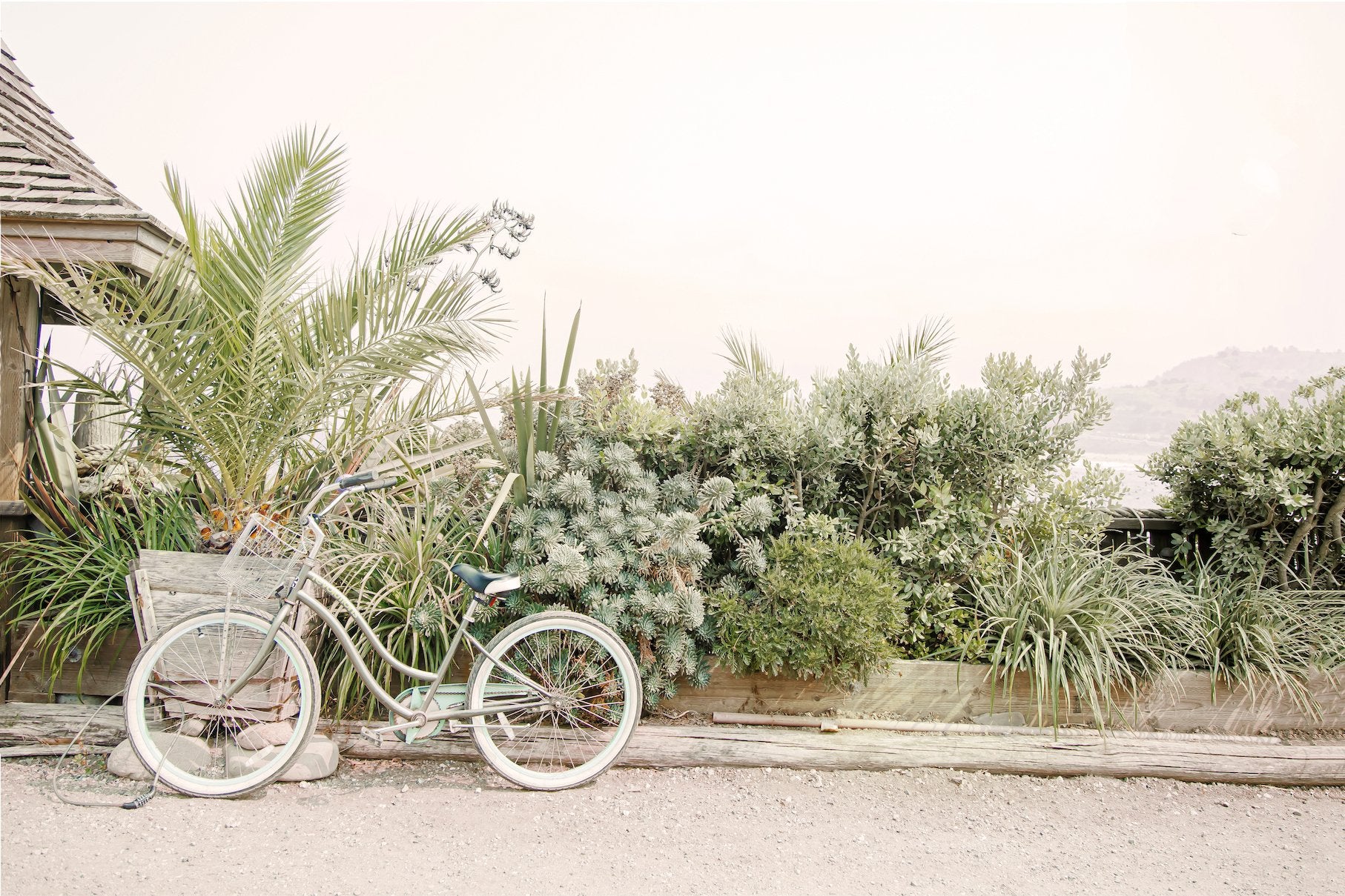 Bike Break