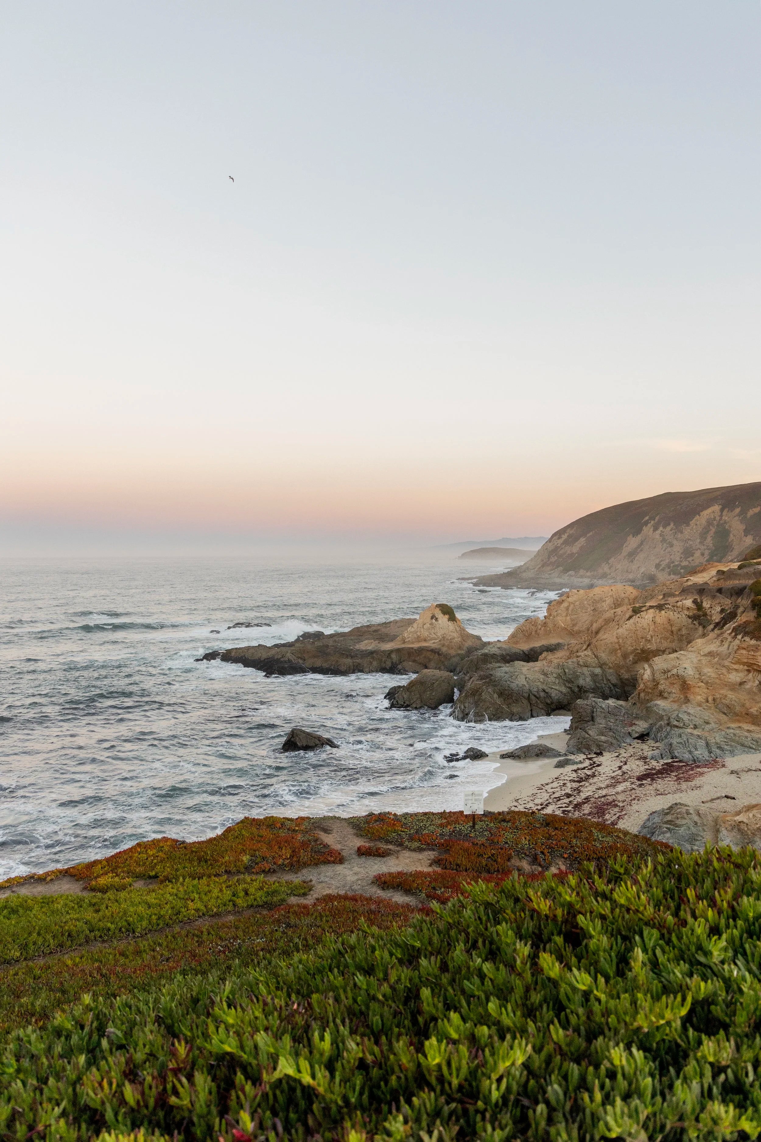 Bodega Bay Trailhead, Vertical