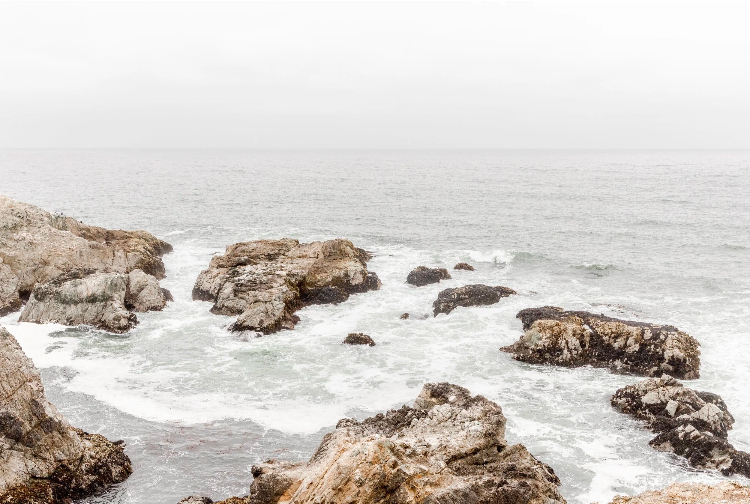 Bodega Cliffs