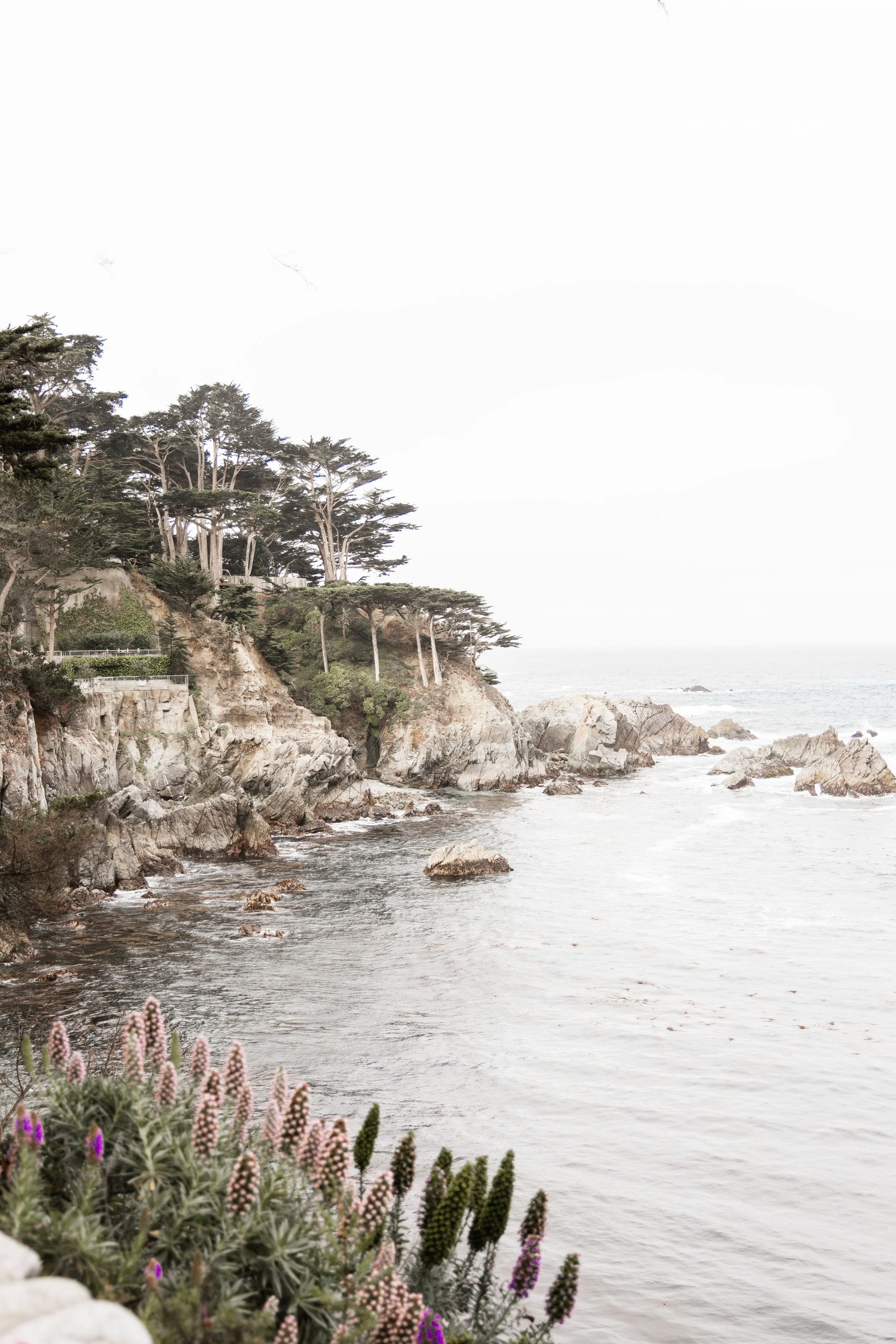 Carmel Cove