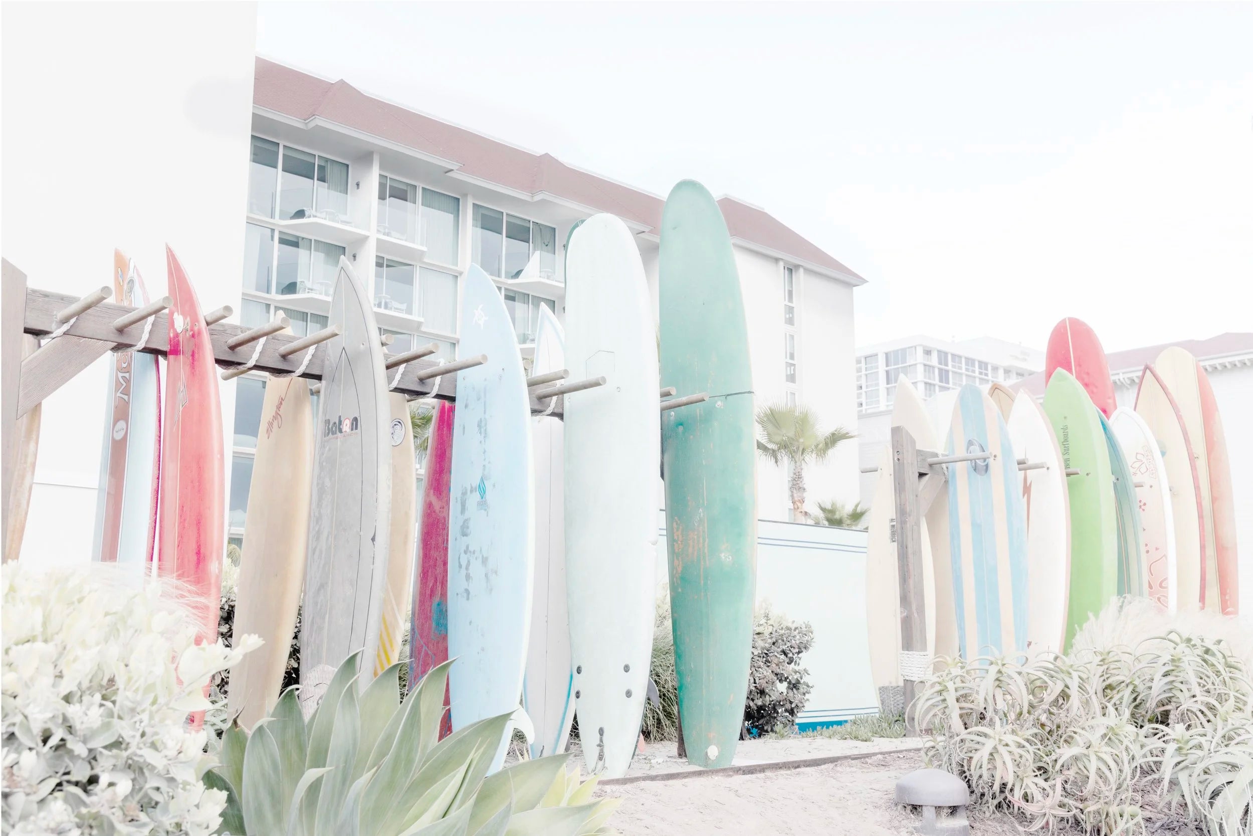 Coronado Surf Display