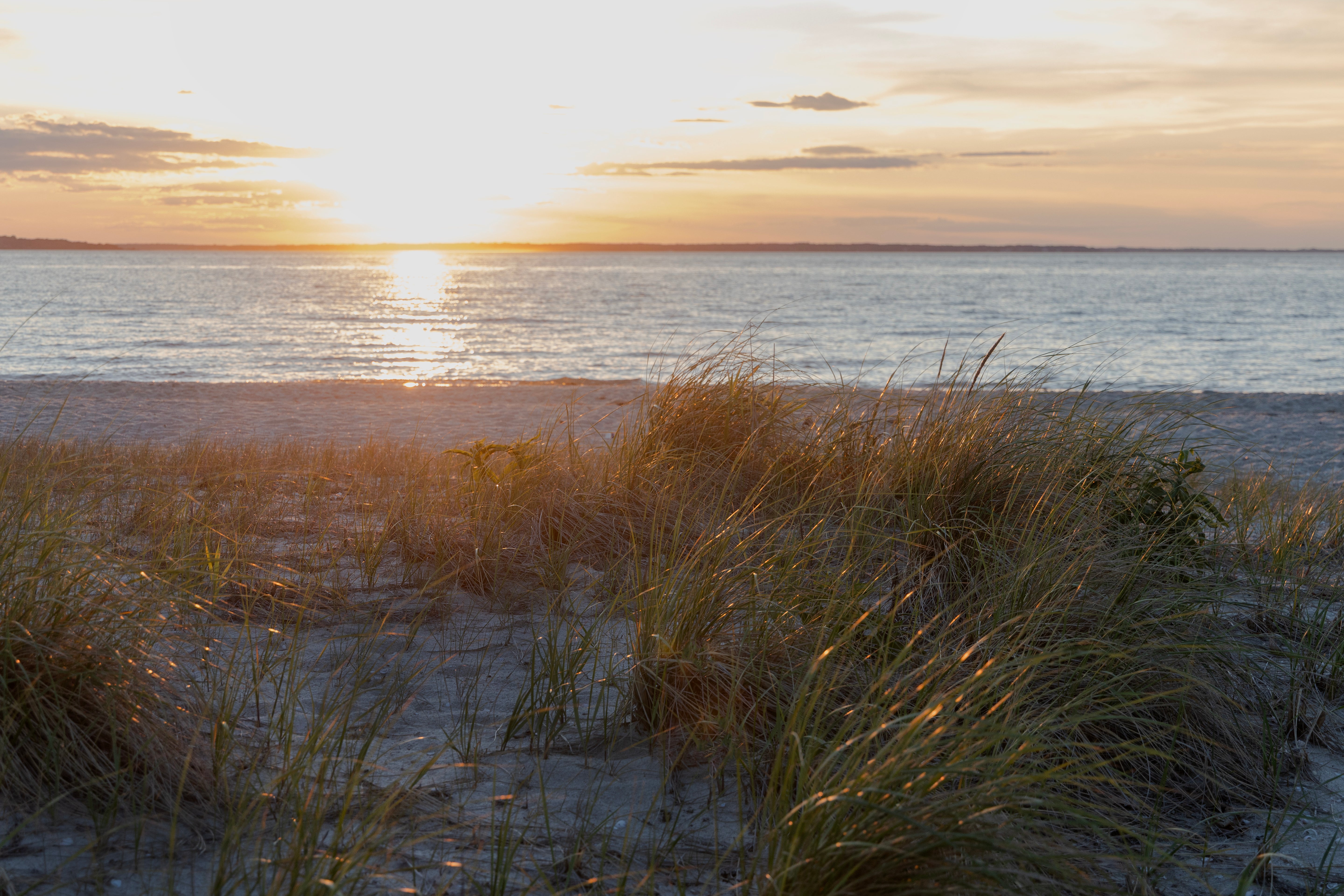 Golden Dunes