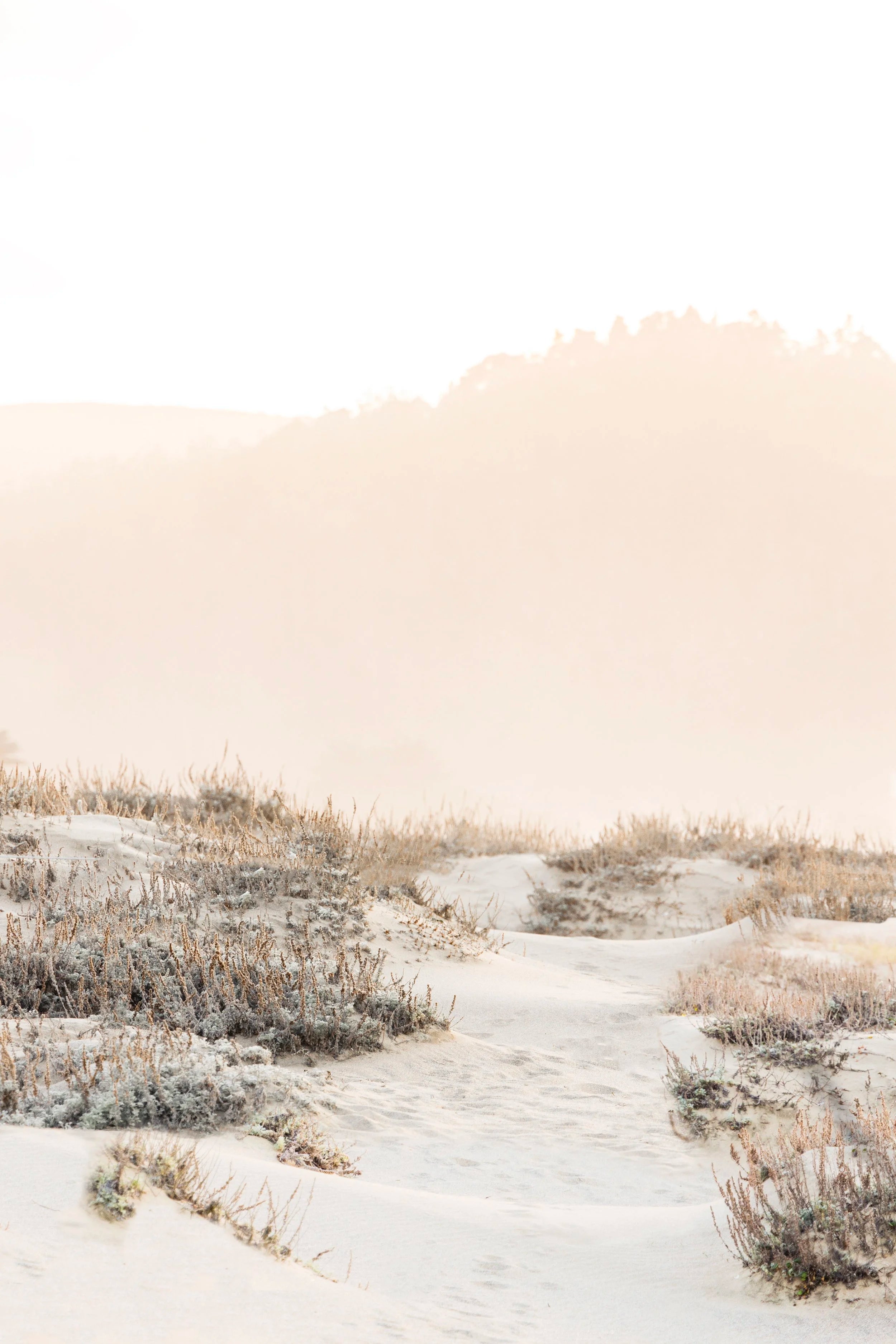 Golden Path