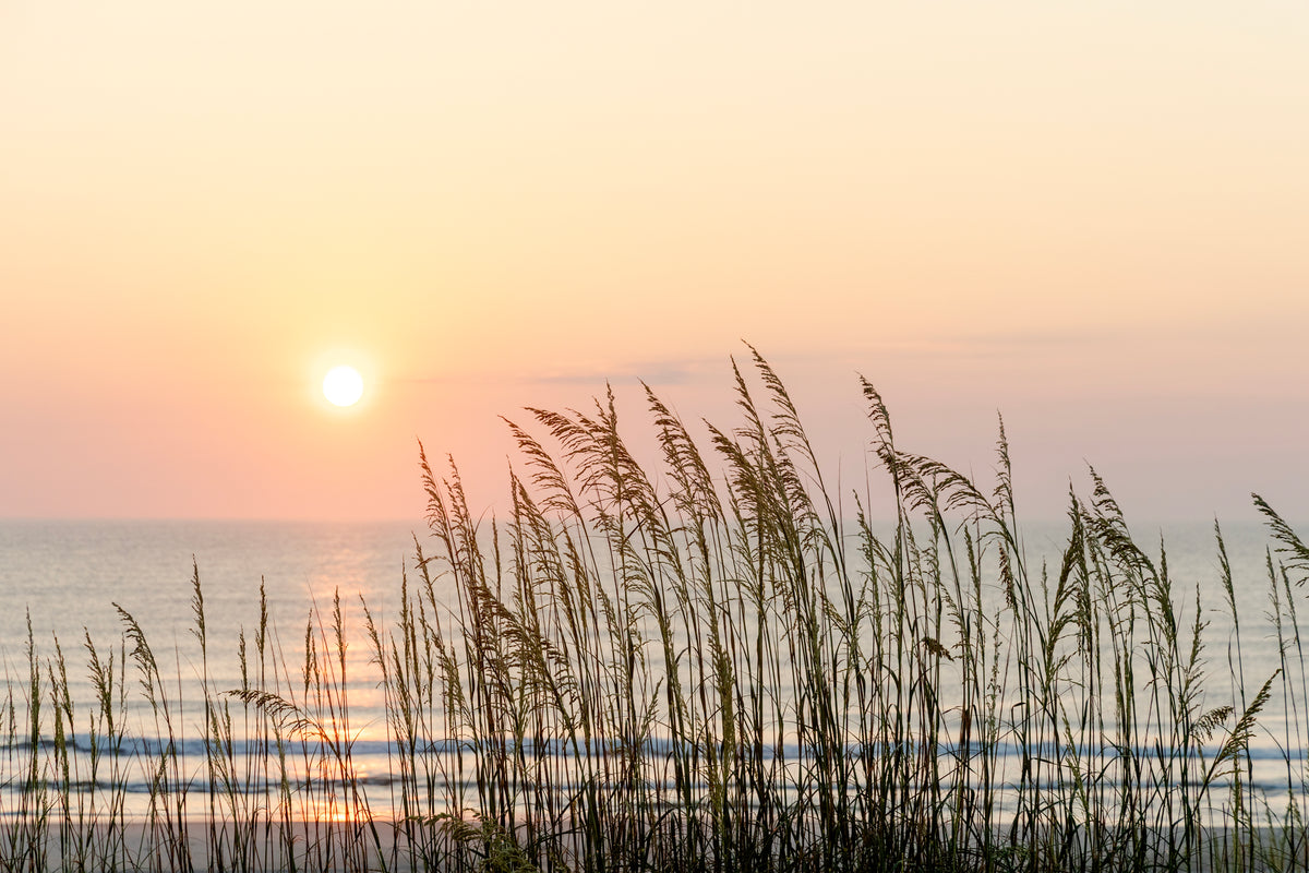Hope At Dawn