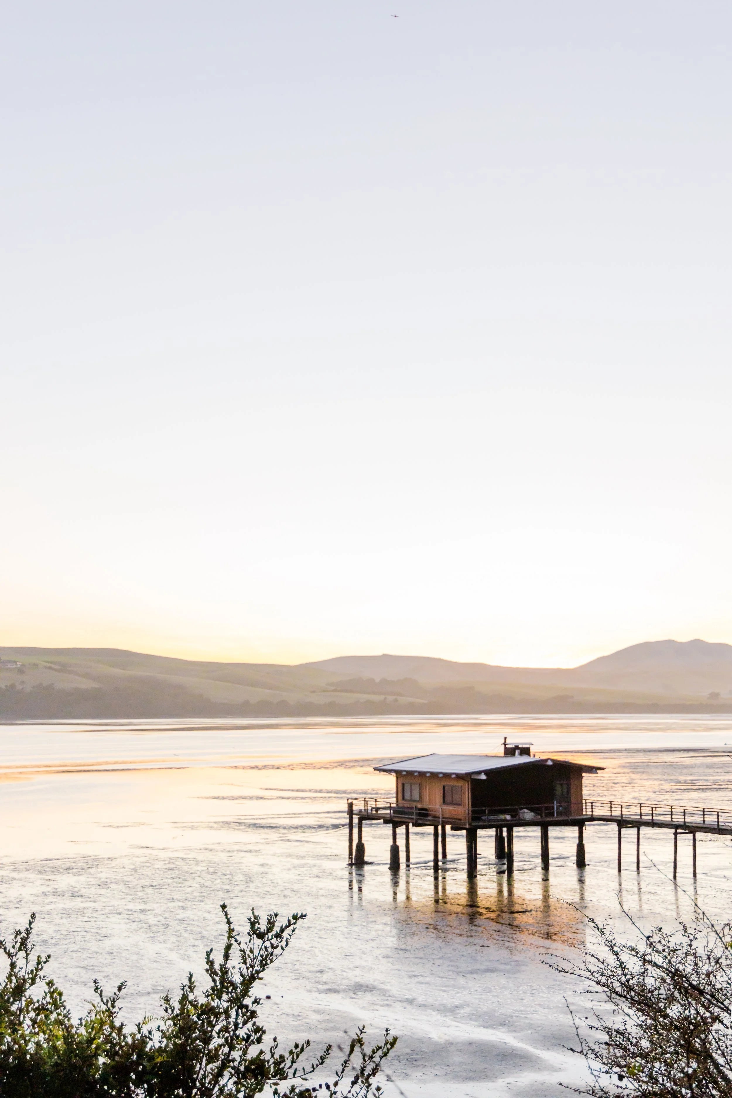 Houseboat with Flecks of Gold