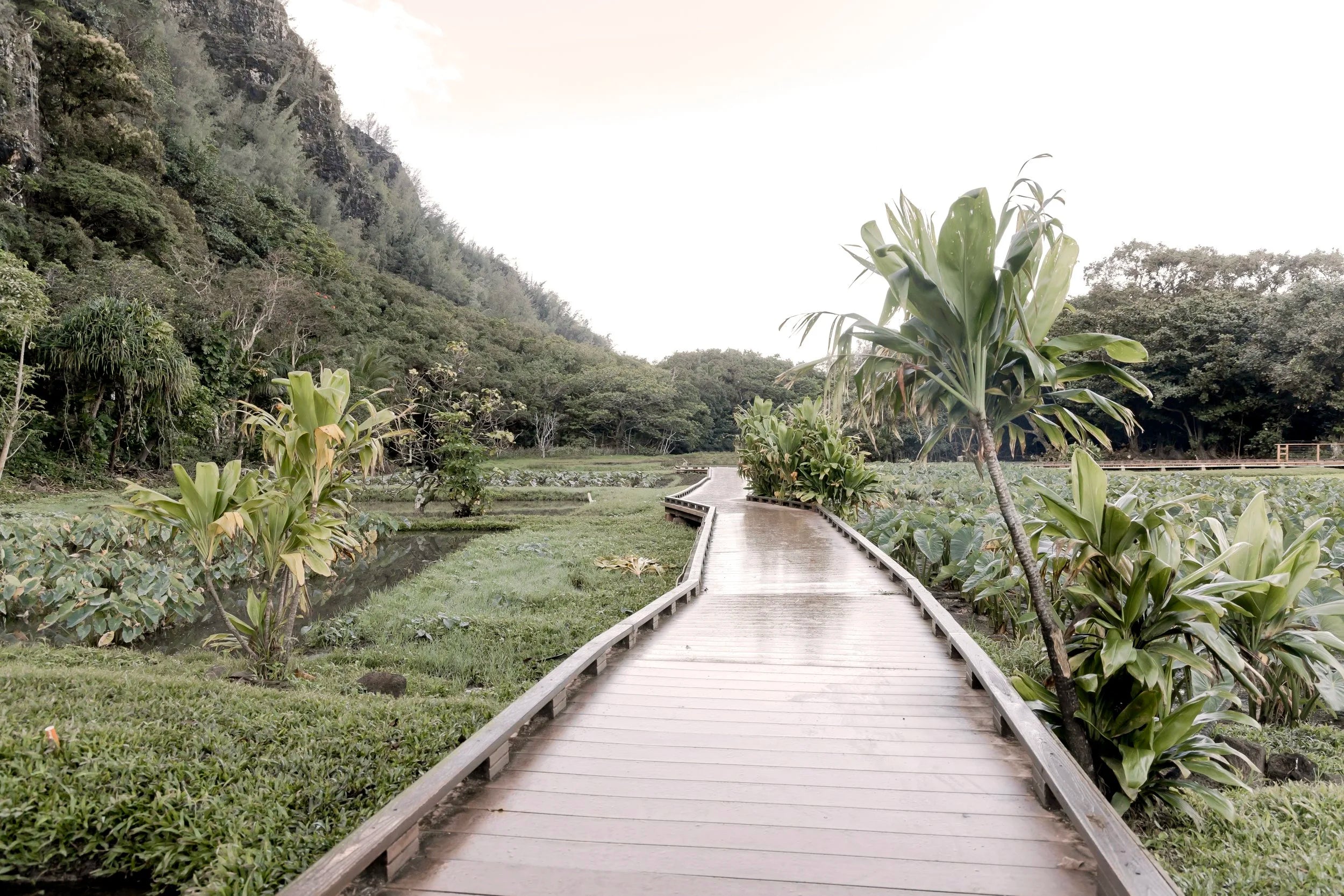 Kalalau Trail