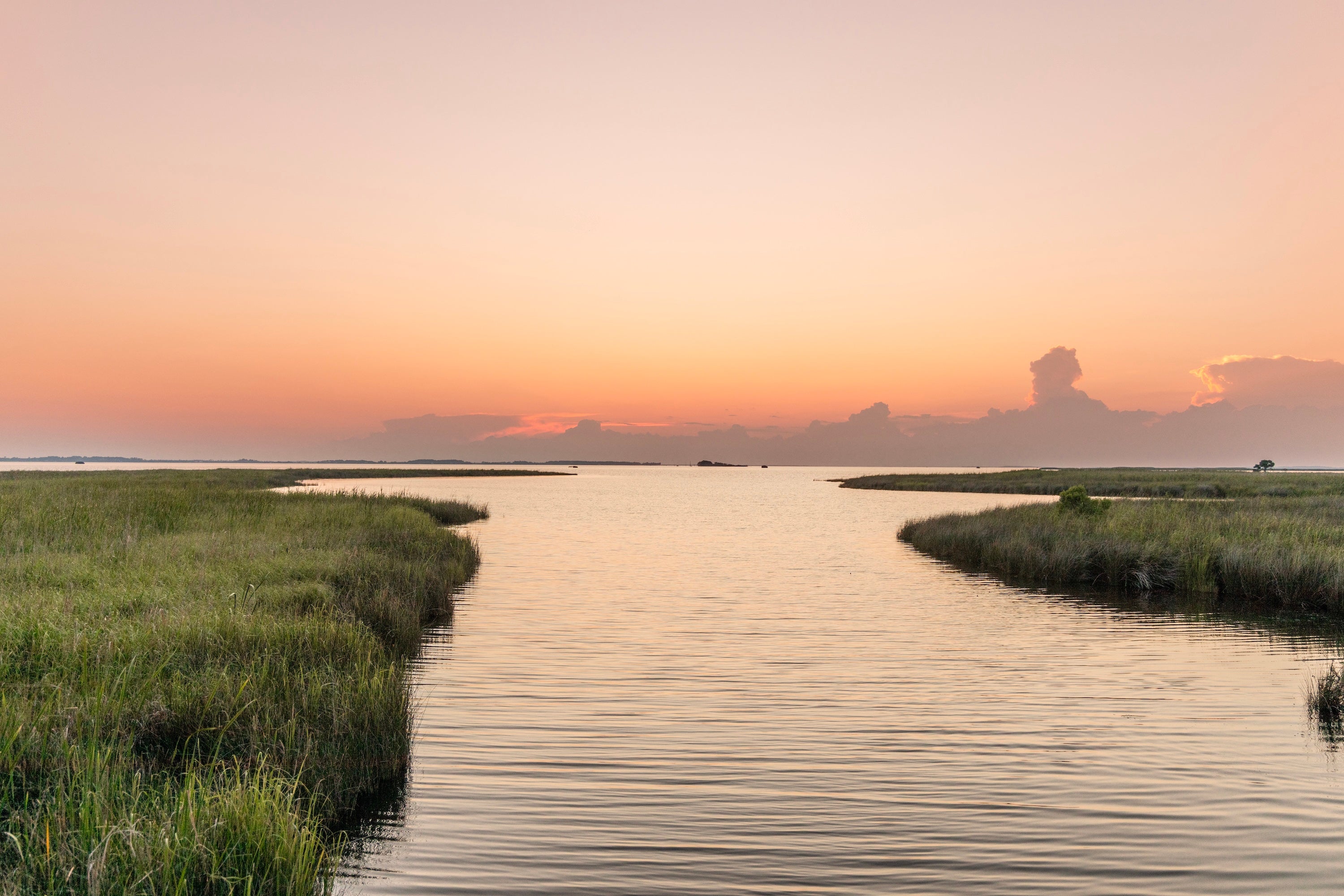 Untold Marsh Stories