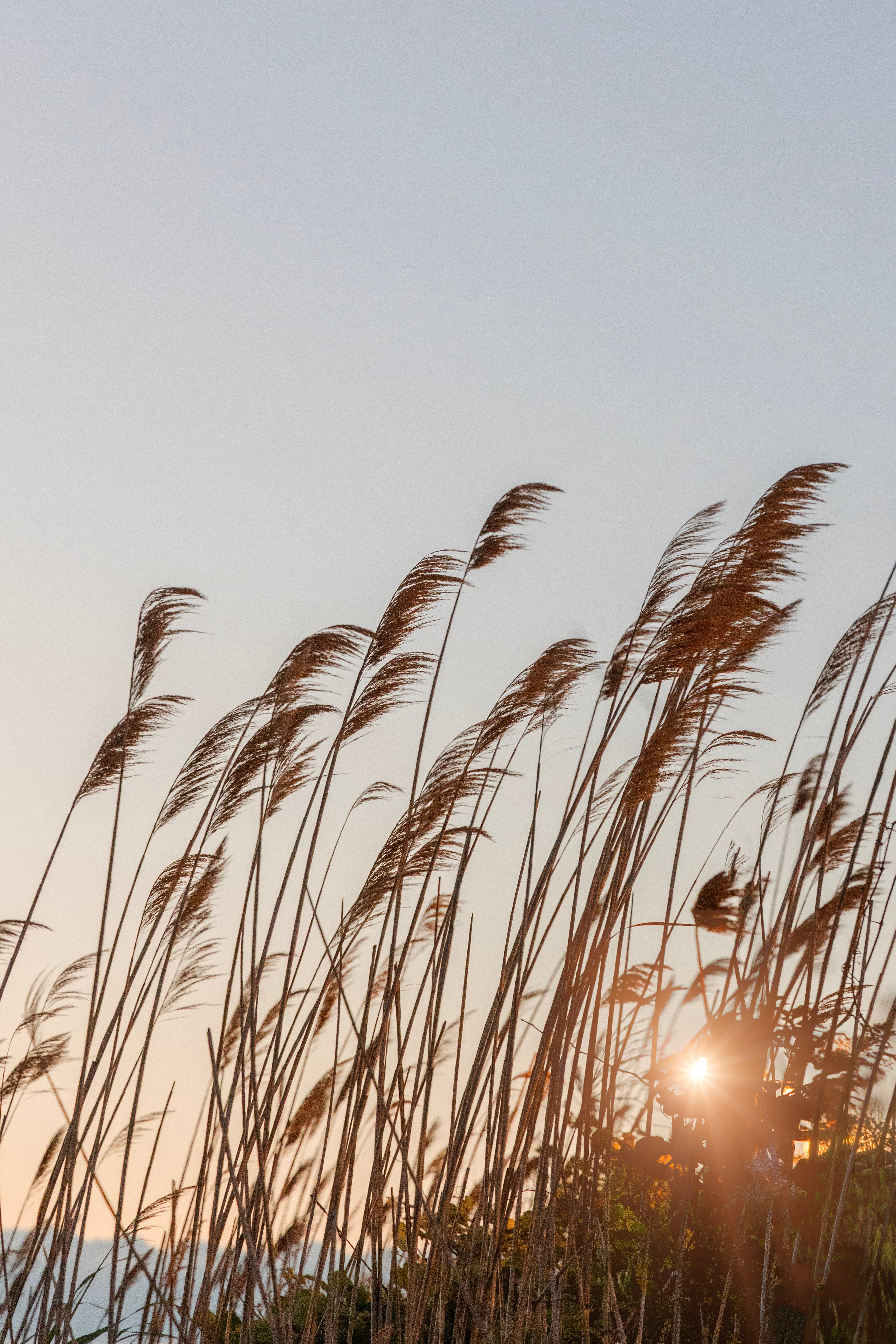 Montauk Breeze