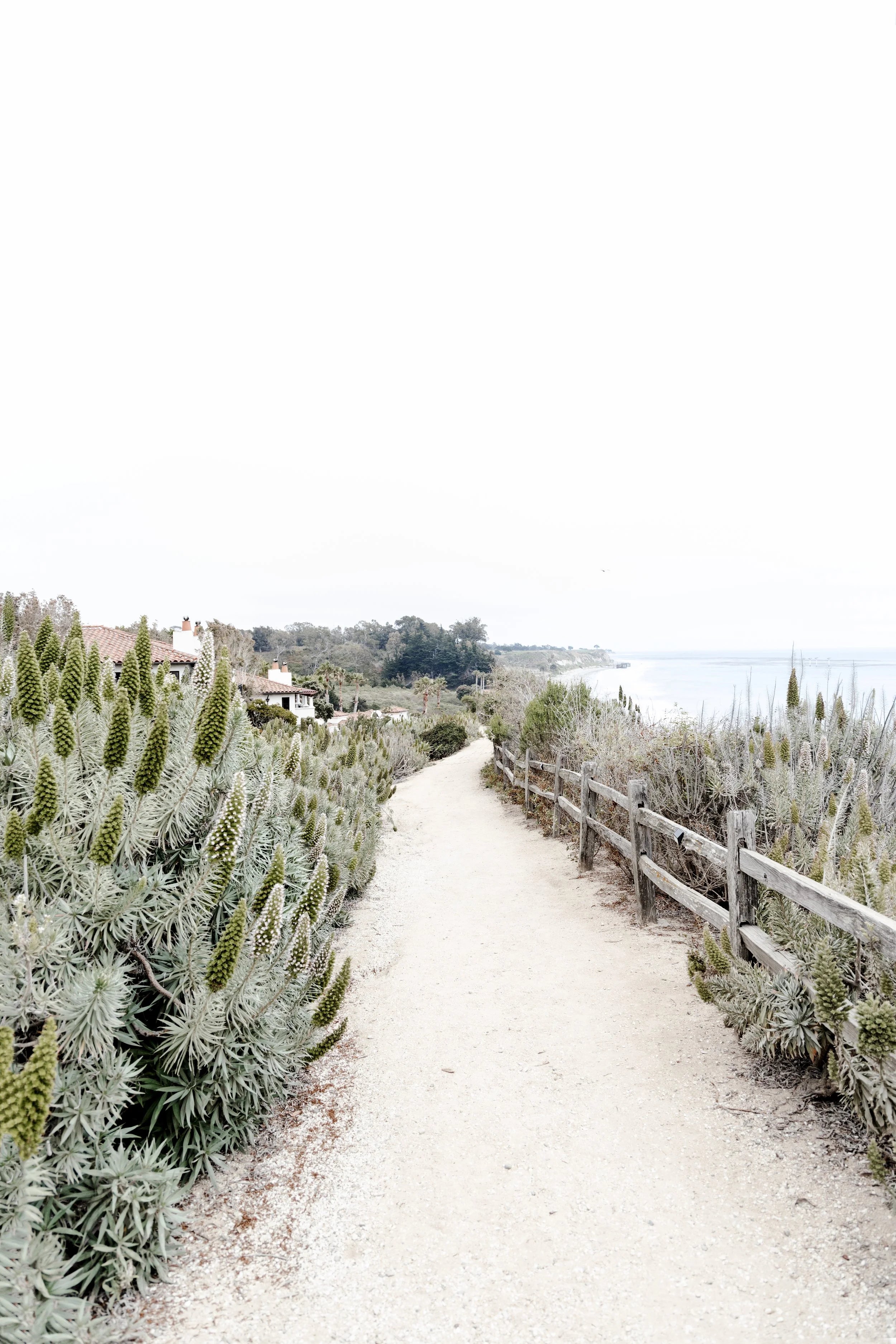 Off The Beaten Path