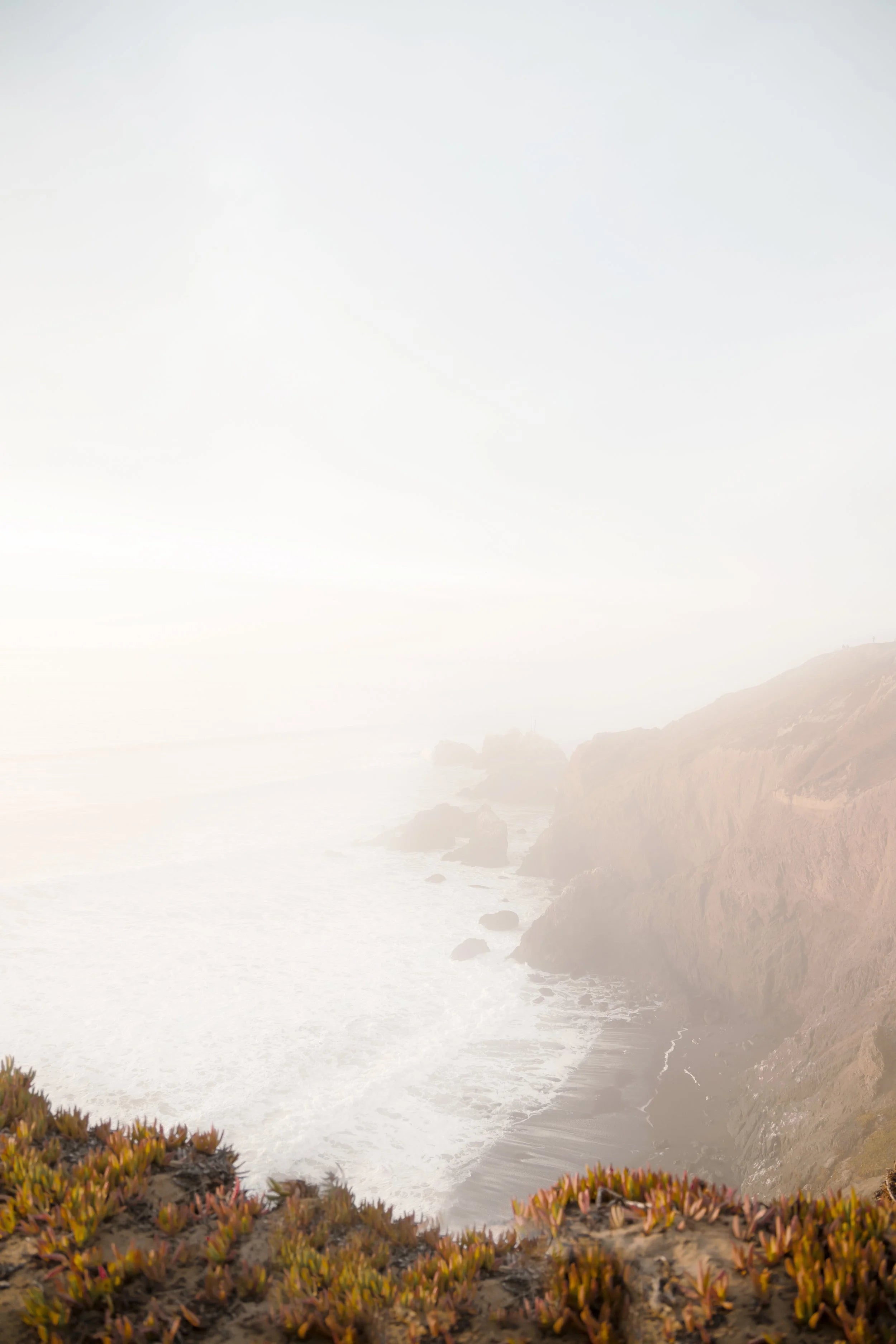 Pacific Fog Horns