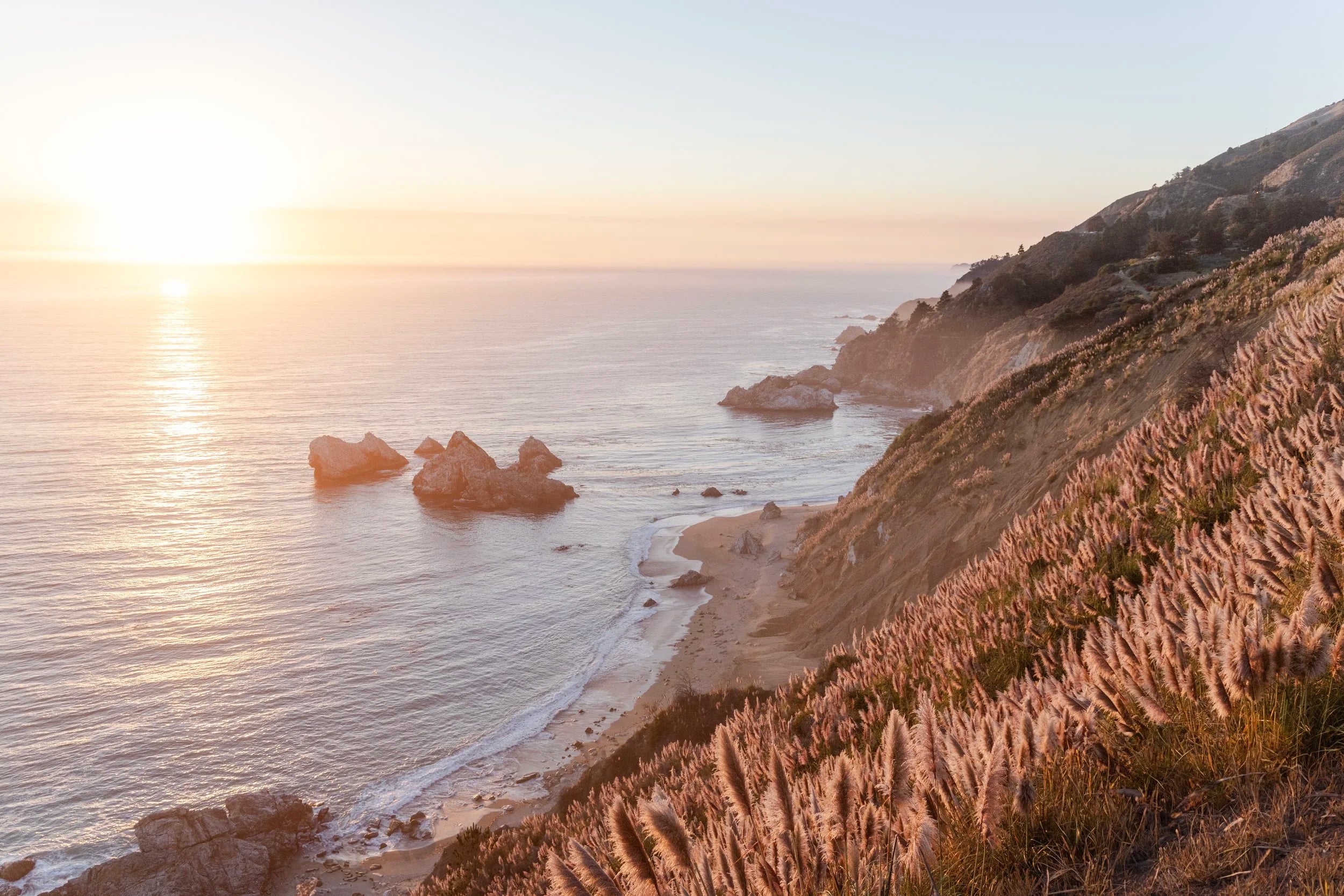 Pampas in Big Sur