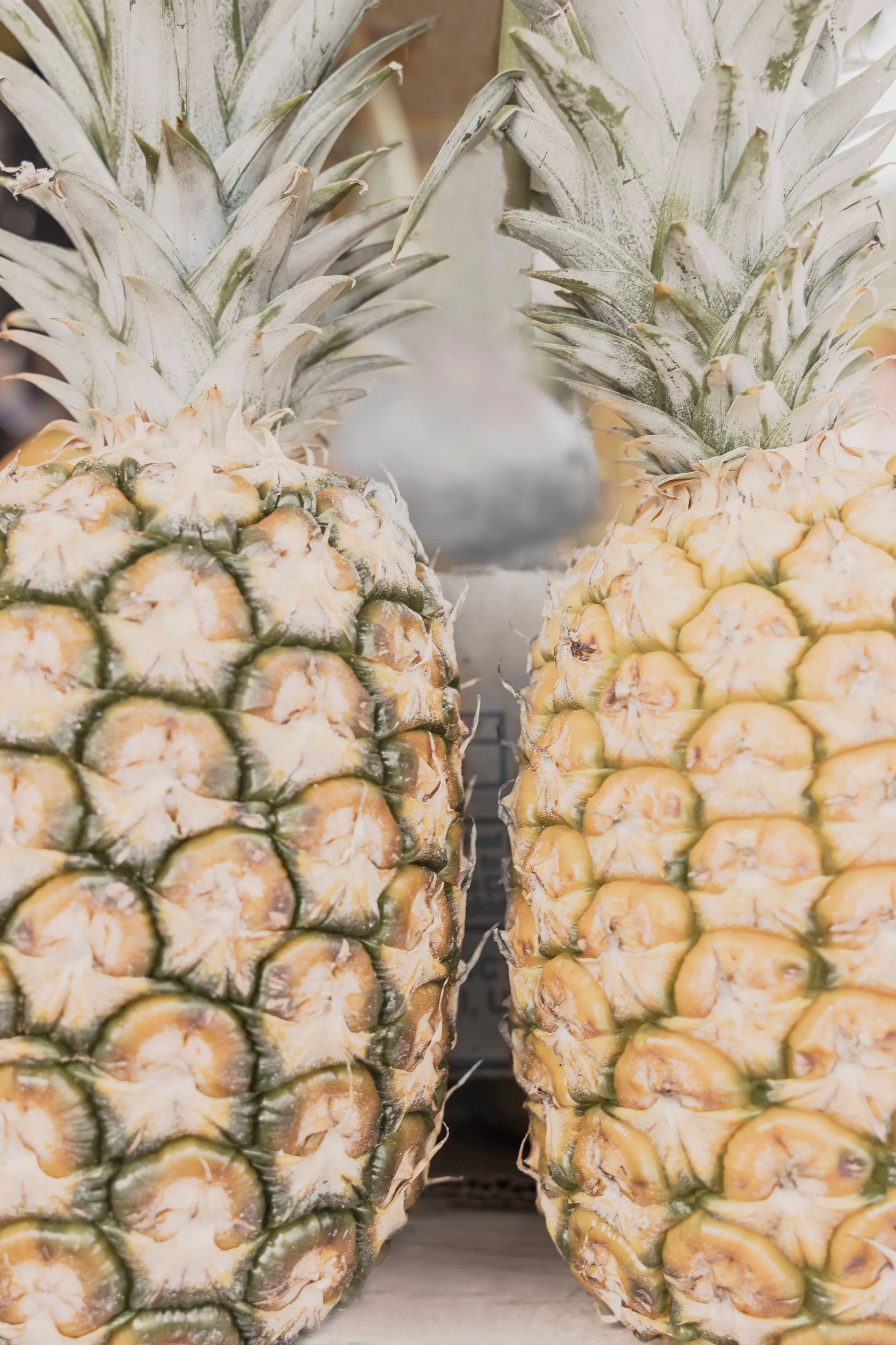 Pineapple Twins
