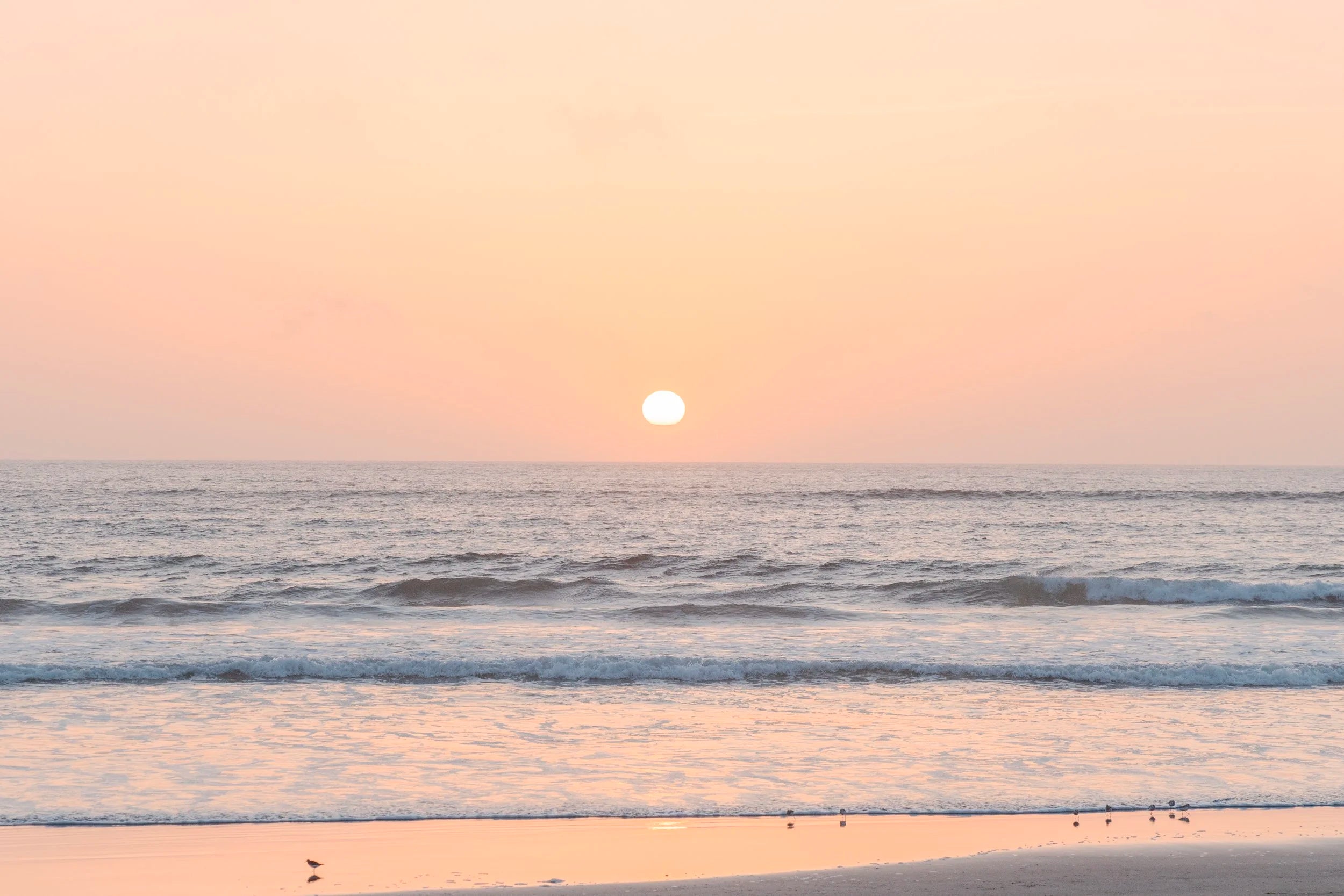 Pink Horizon
