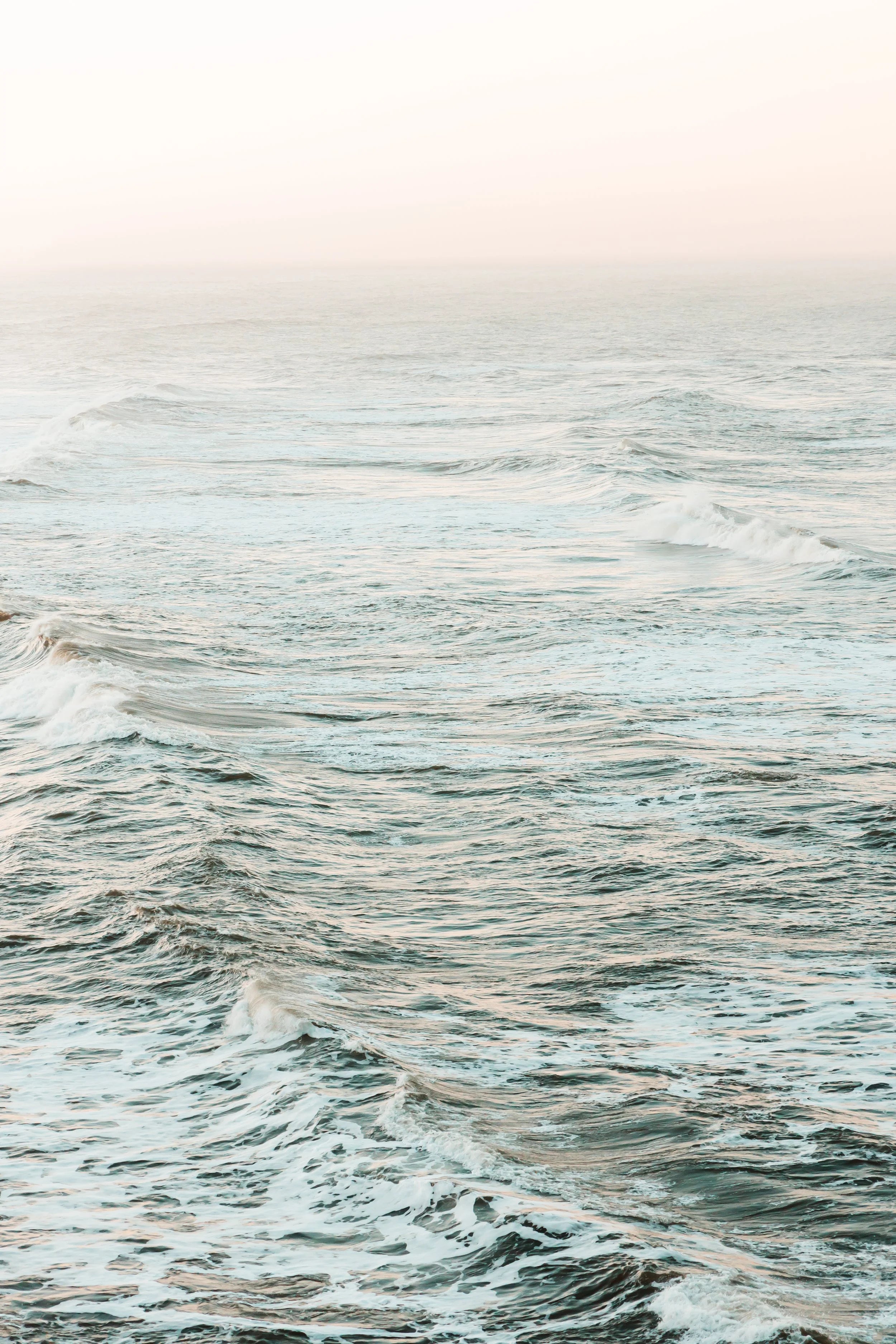 Pink Seas