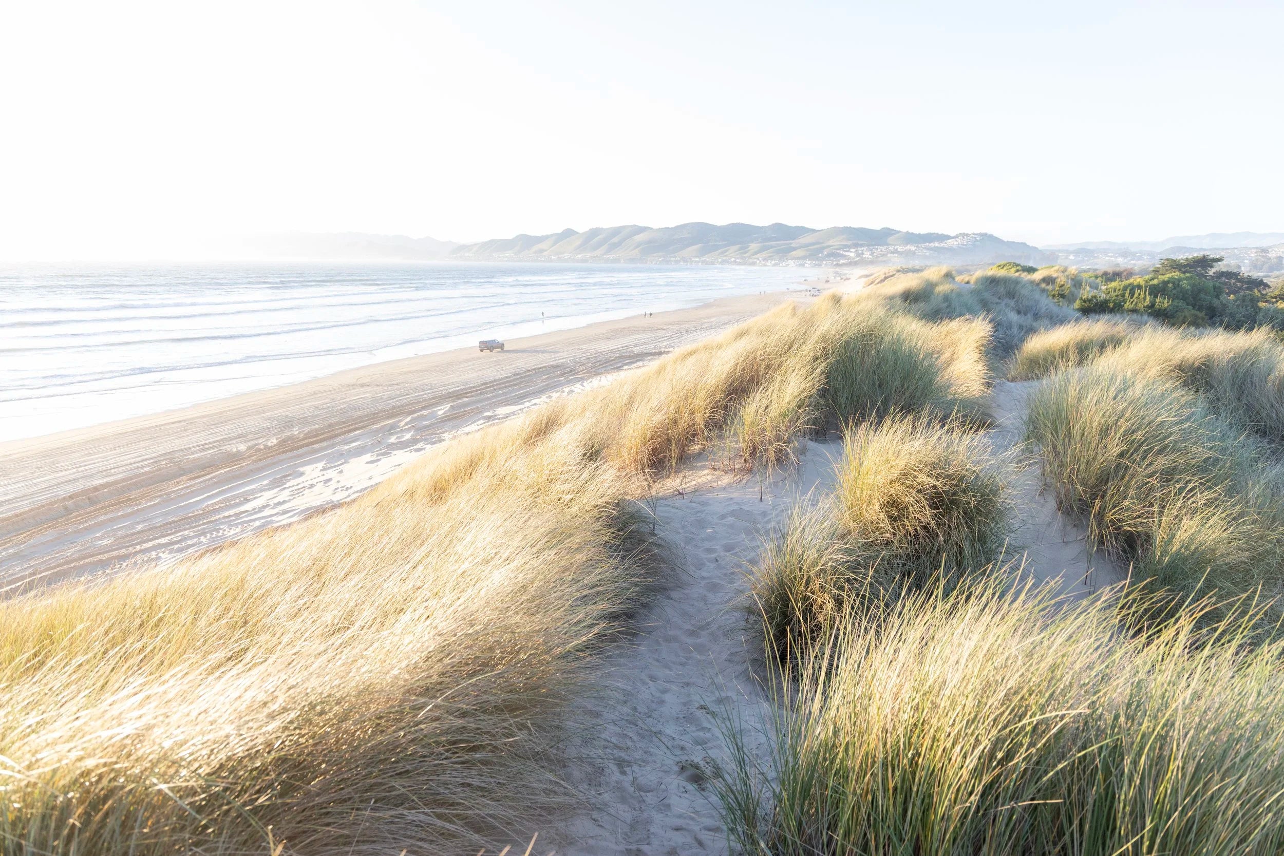 Breezy Sand Dunes
