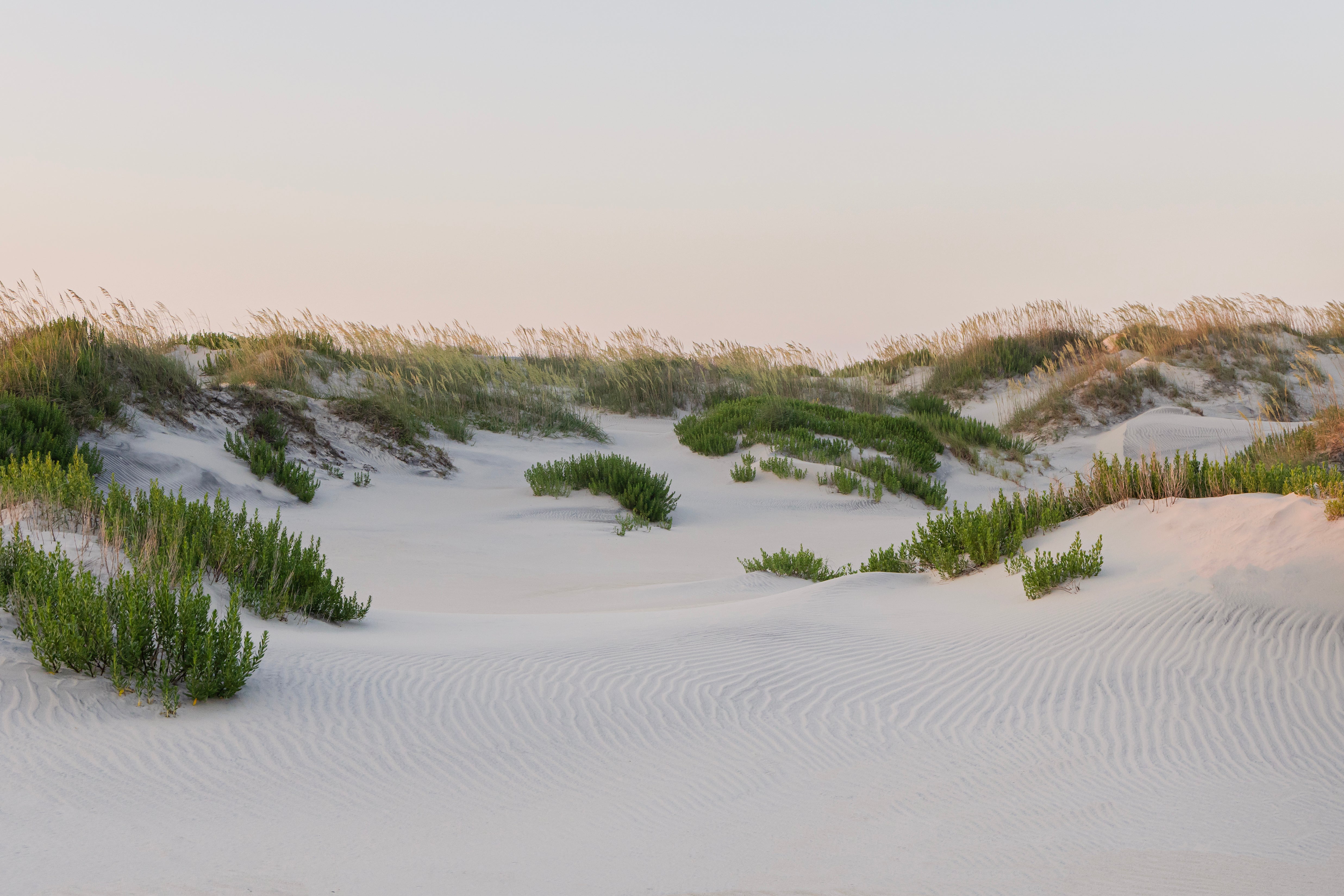 Quiet Sands