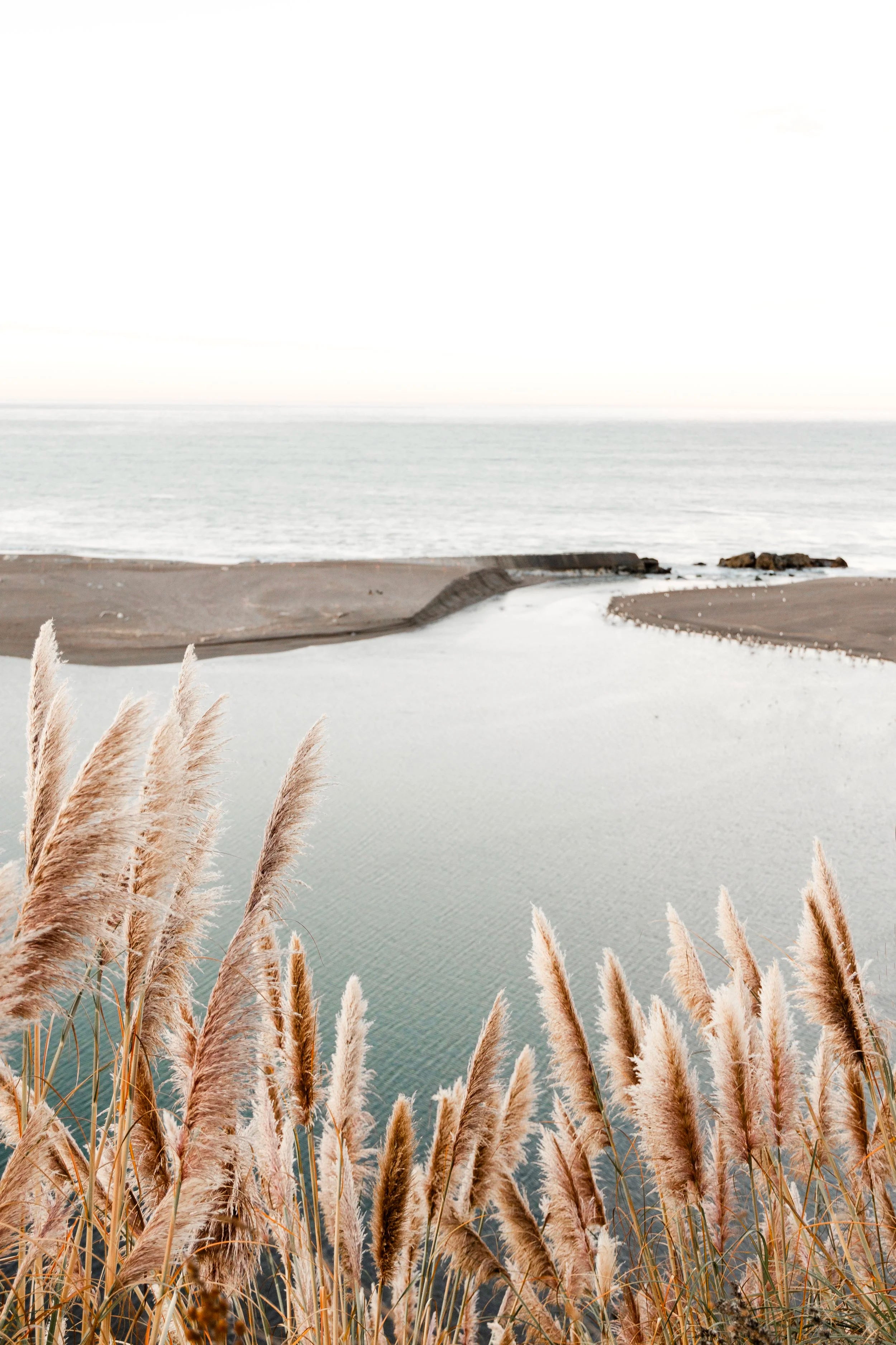 River's Mouth