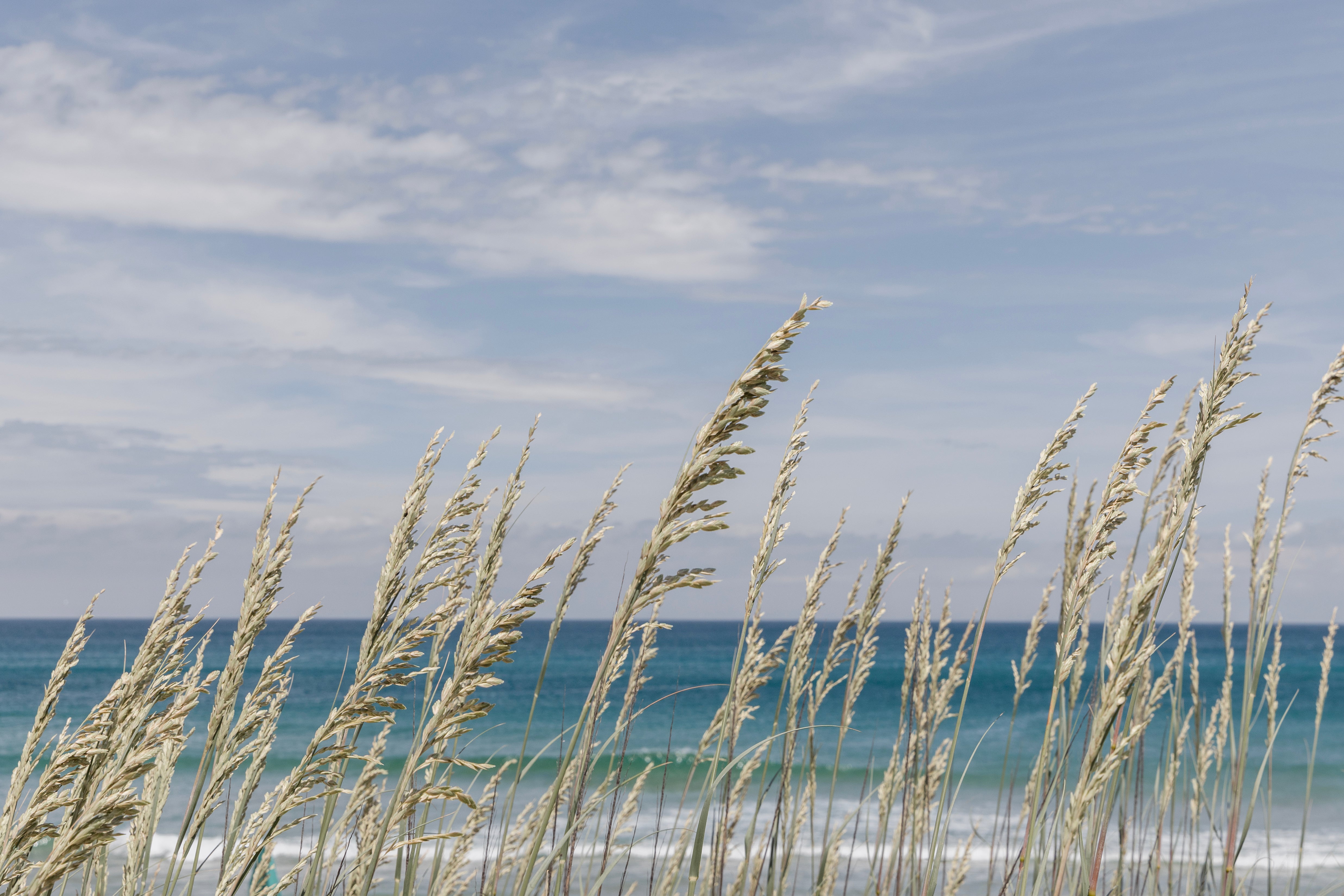 Salty Air