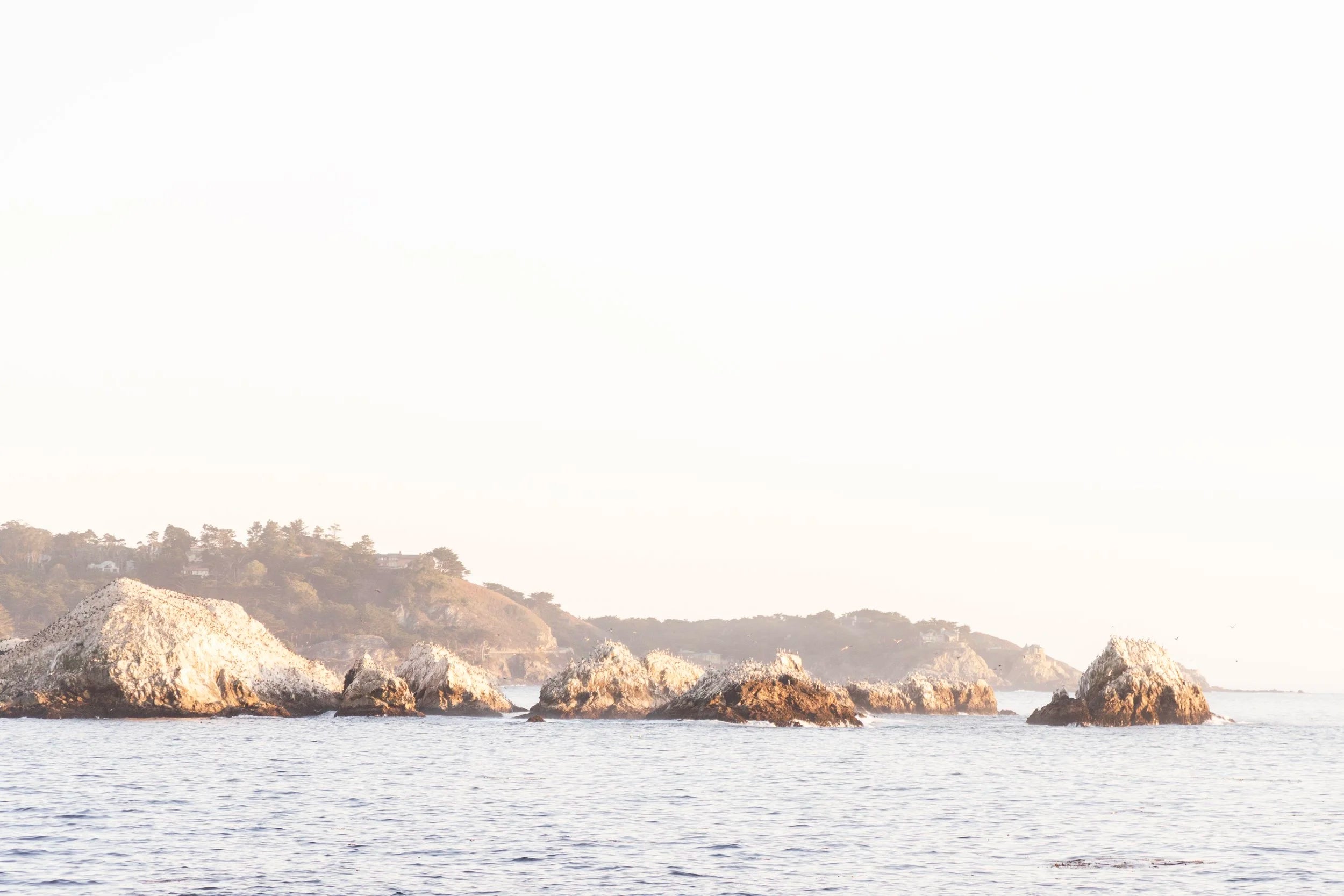Sanctuary Rocks