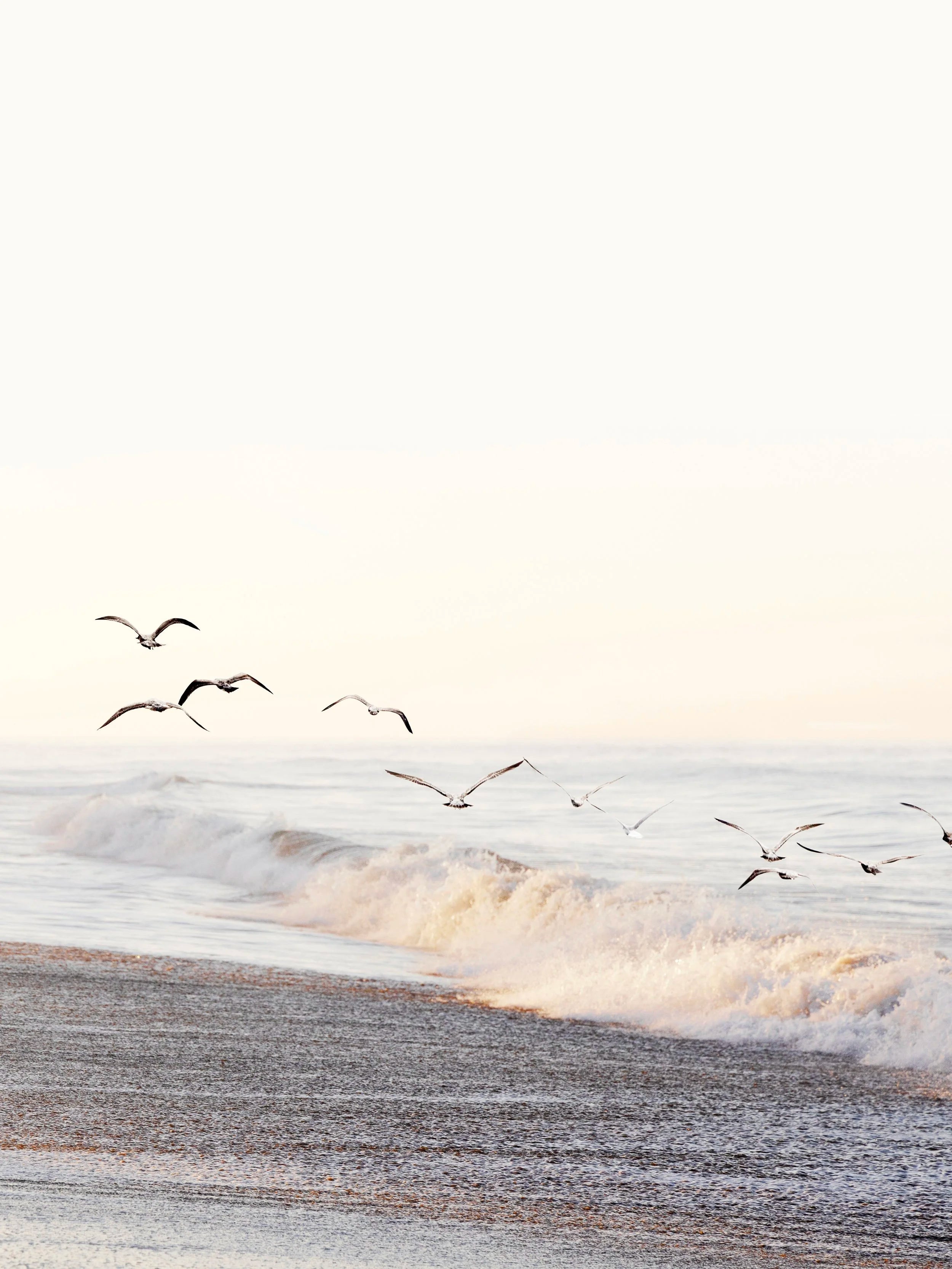 Dancing Gulls - Vertical Santa Barbara