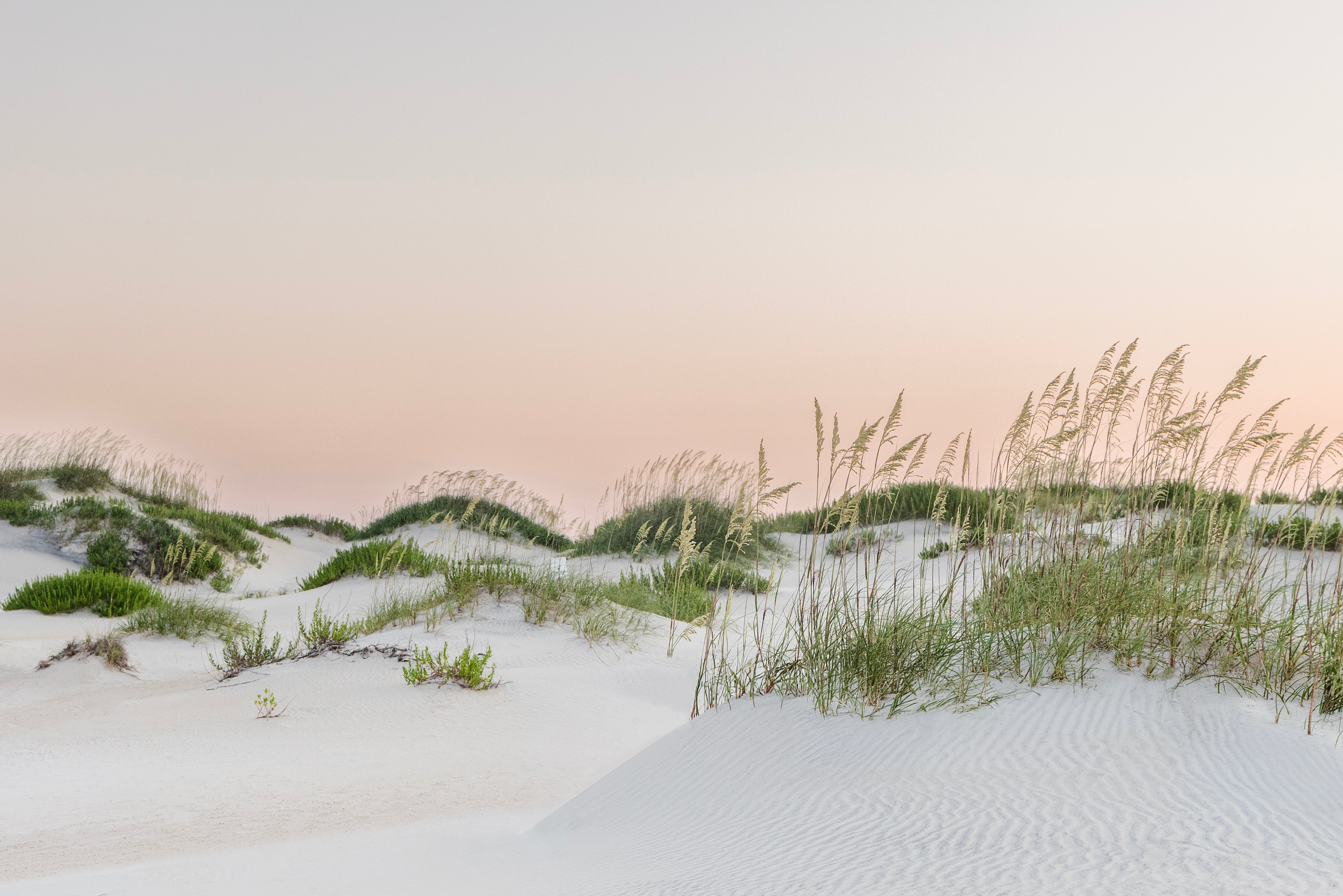 Sea Oat Stories