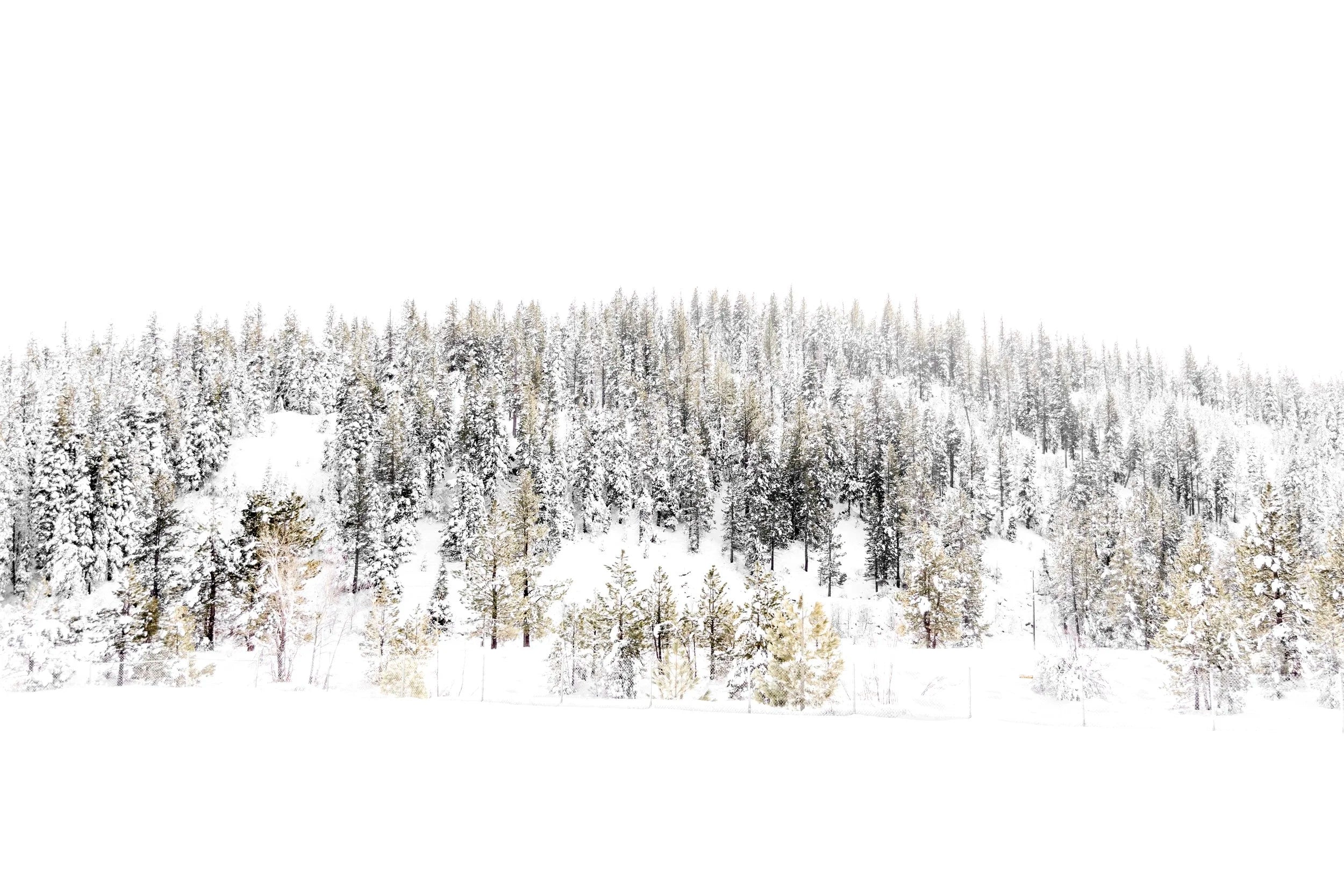 Snowy Views