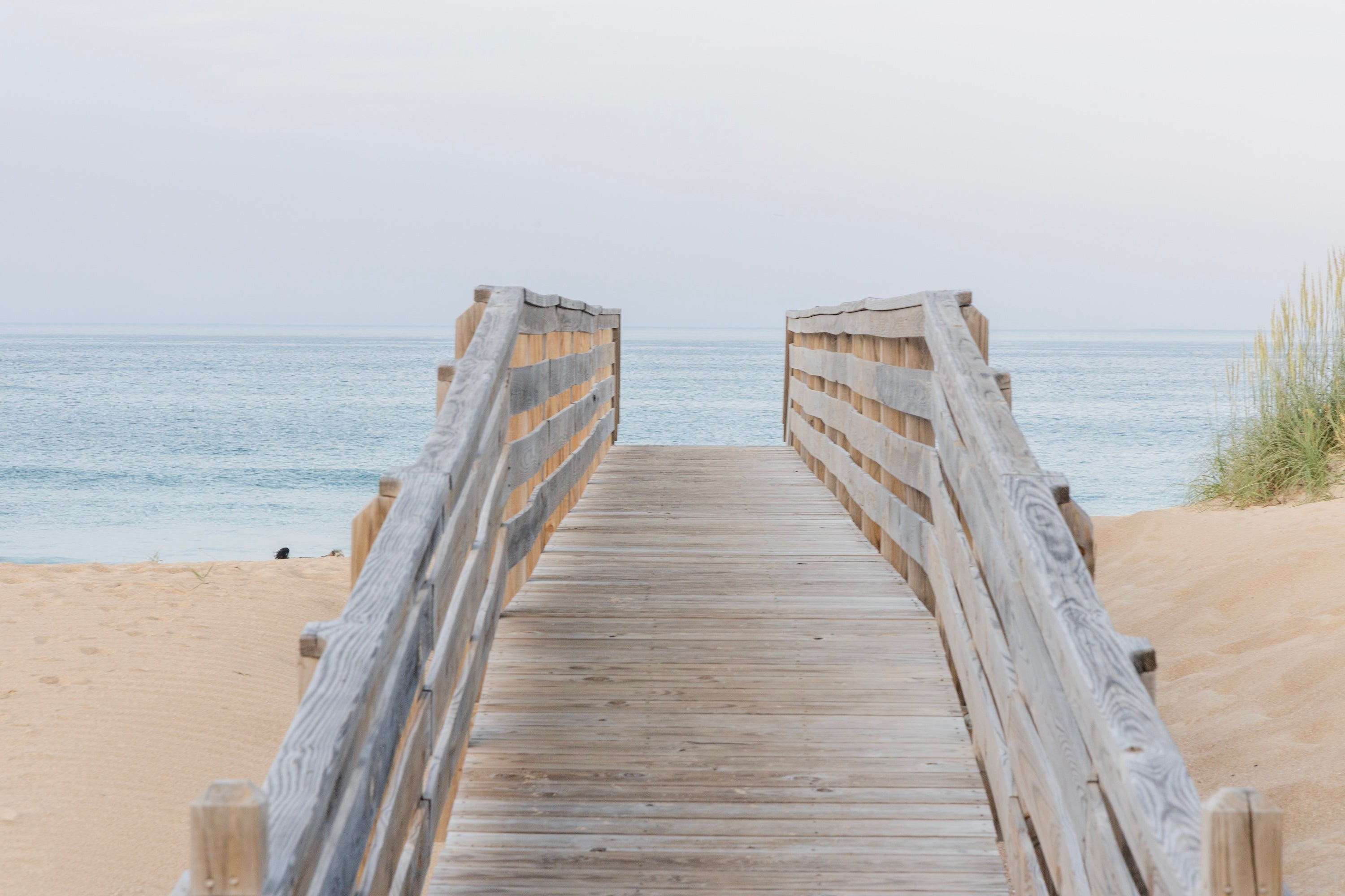 The Open Shore