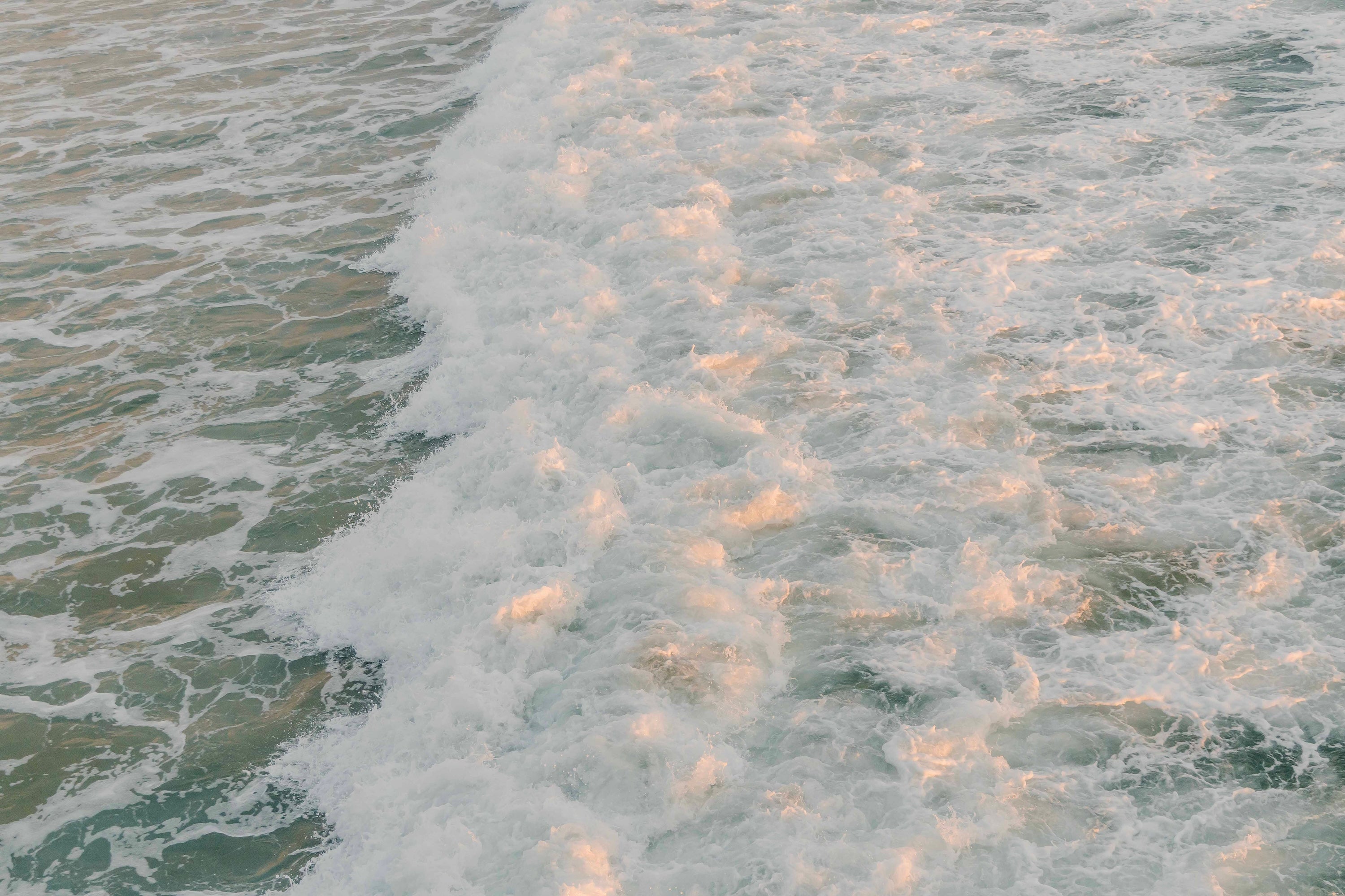 Tide in Blush