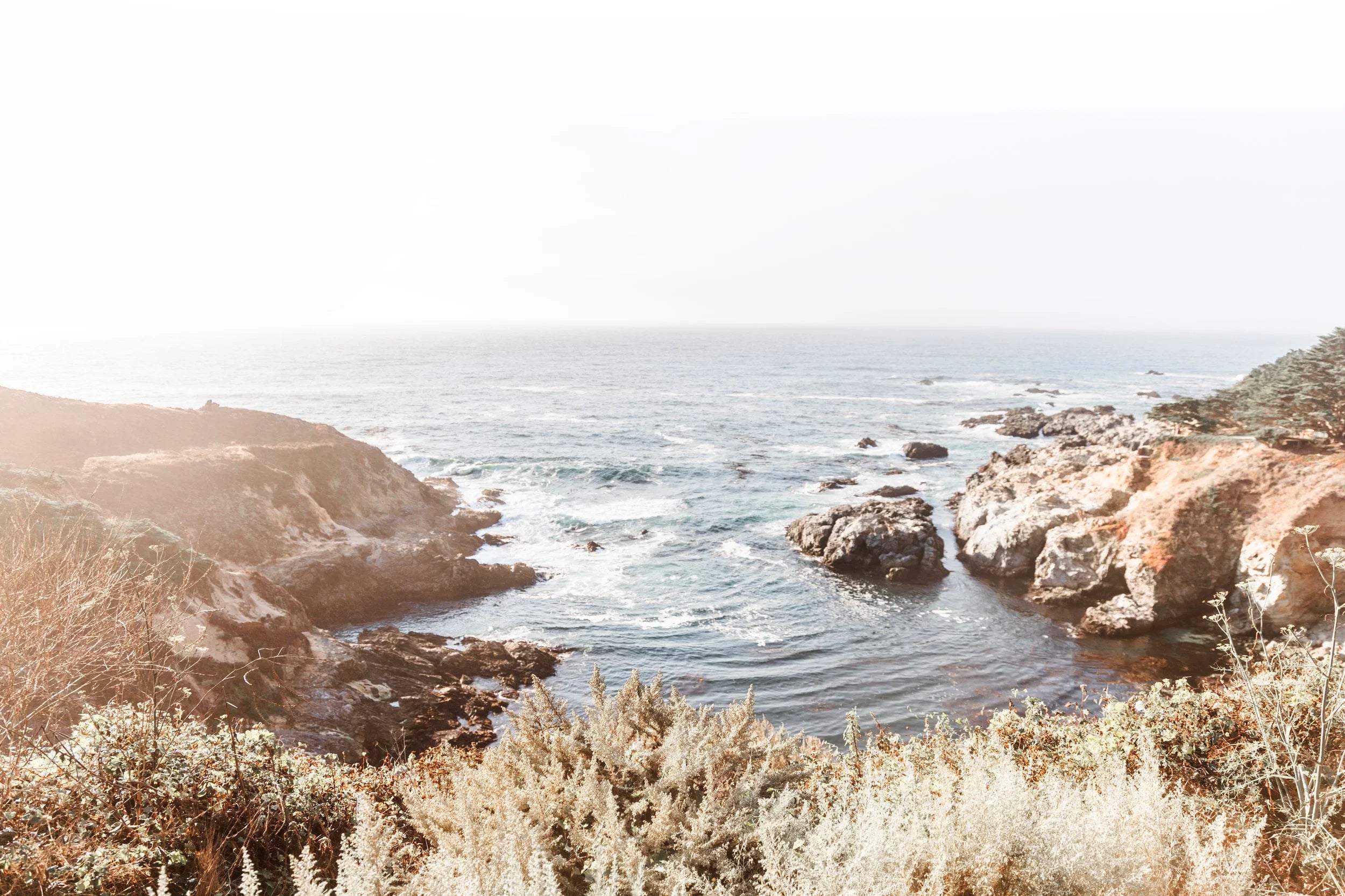 Whispers of the Shore