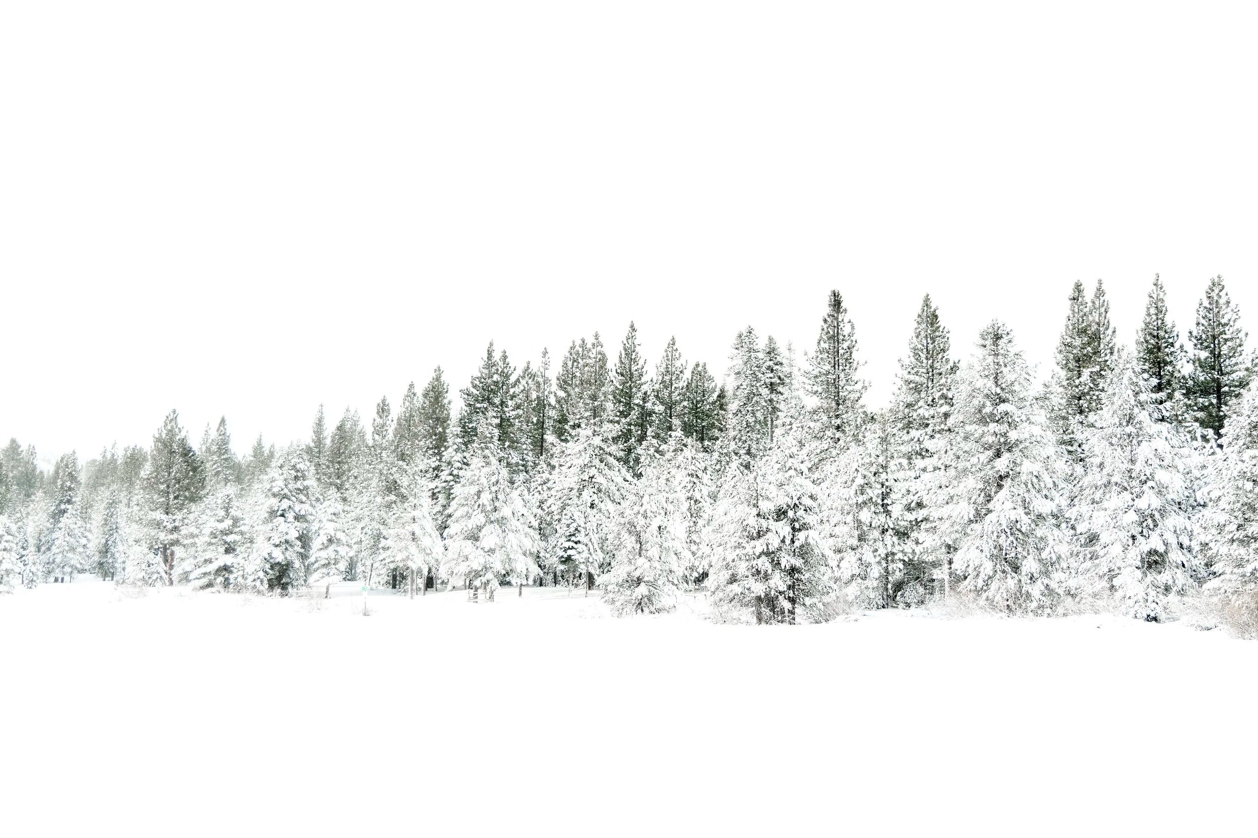 White Christmas